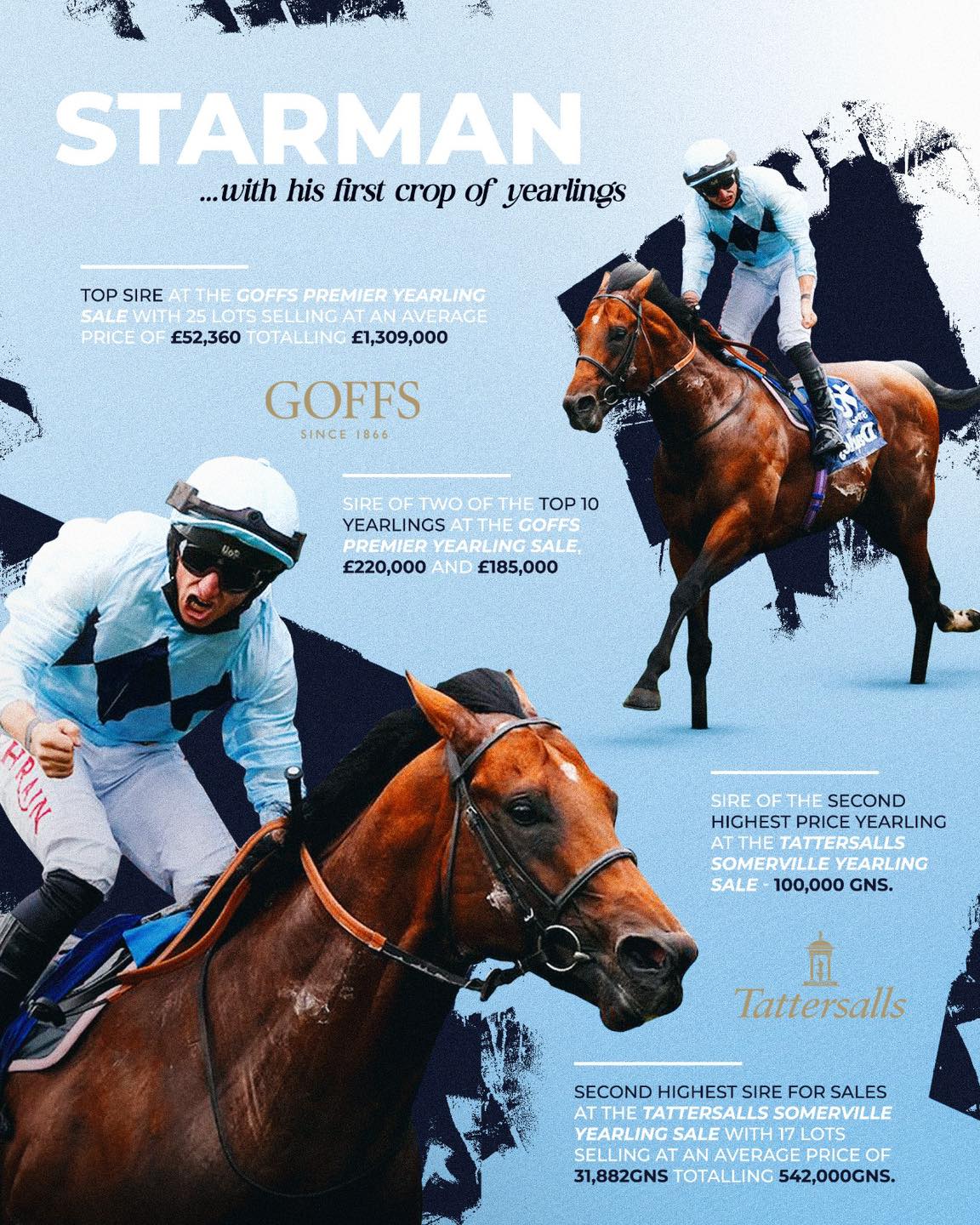 The grey Starman filly purchased by Blandford Bloodstock for €360,000