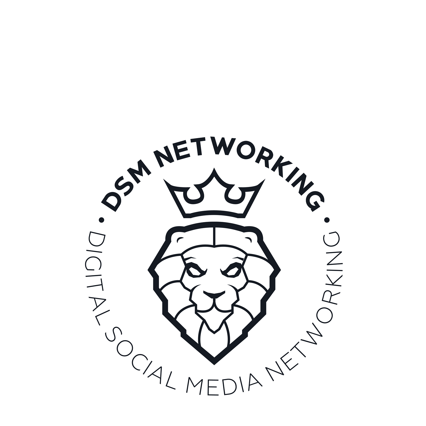 DSM Networking | São Paulo SP