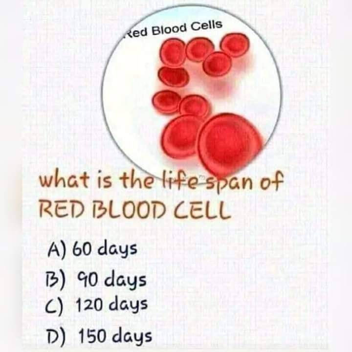 Science TidBits - 👉Choose the correct option