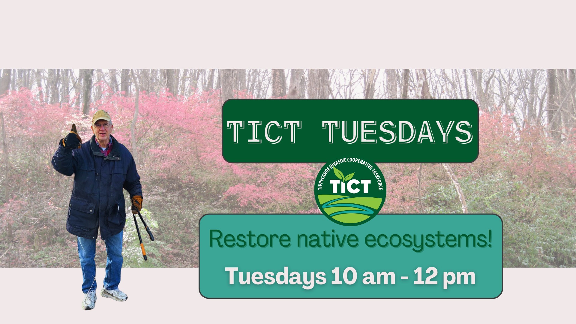 TICT Tuesdays - Restore native ecosystems!