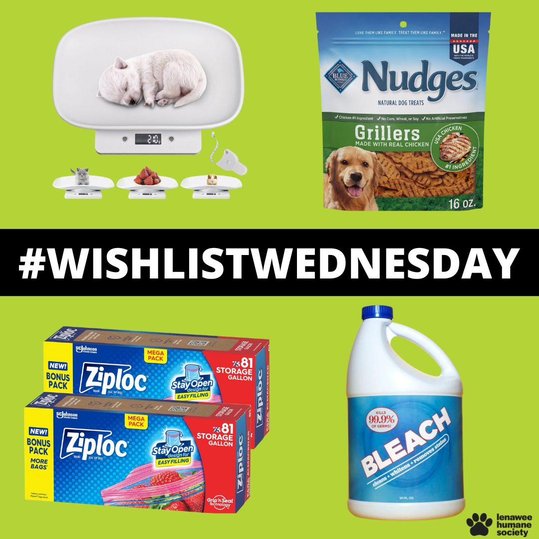 Wish List Wednesday! ❤️ Looking for a simple way to support the