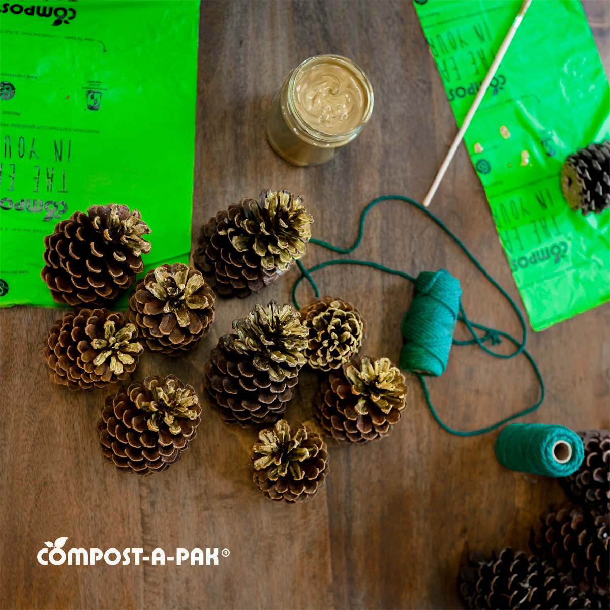 Compost-A-Pak - We have some little helpers painting Pinecones ...