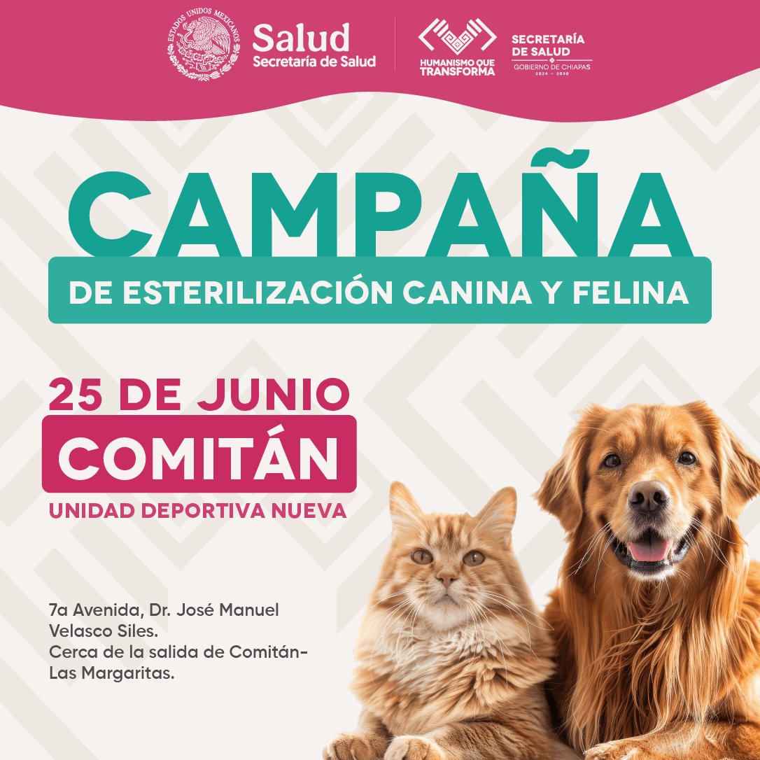 Secretaría de Salud... - Secretaría de Salud Chiapas Oficial