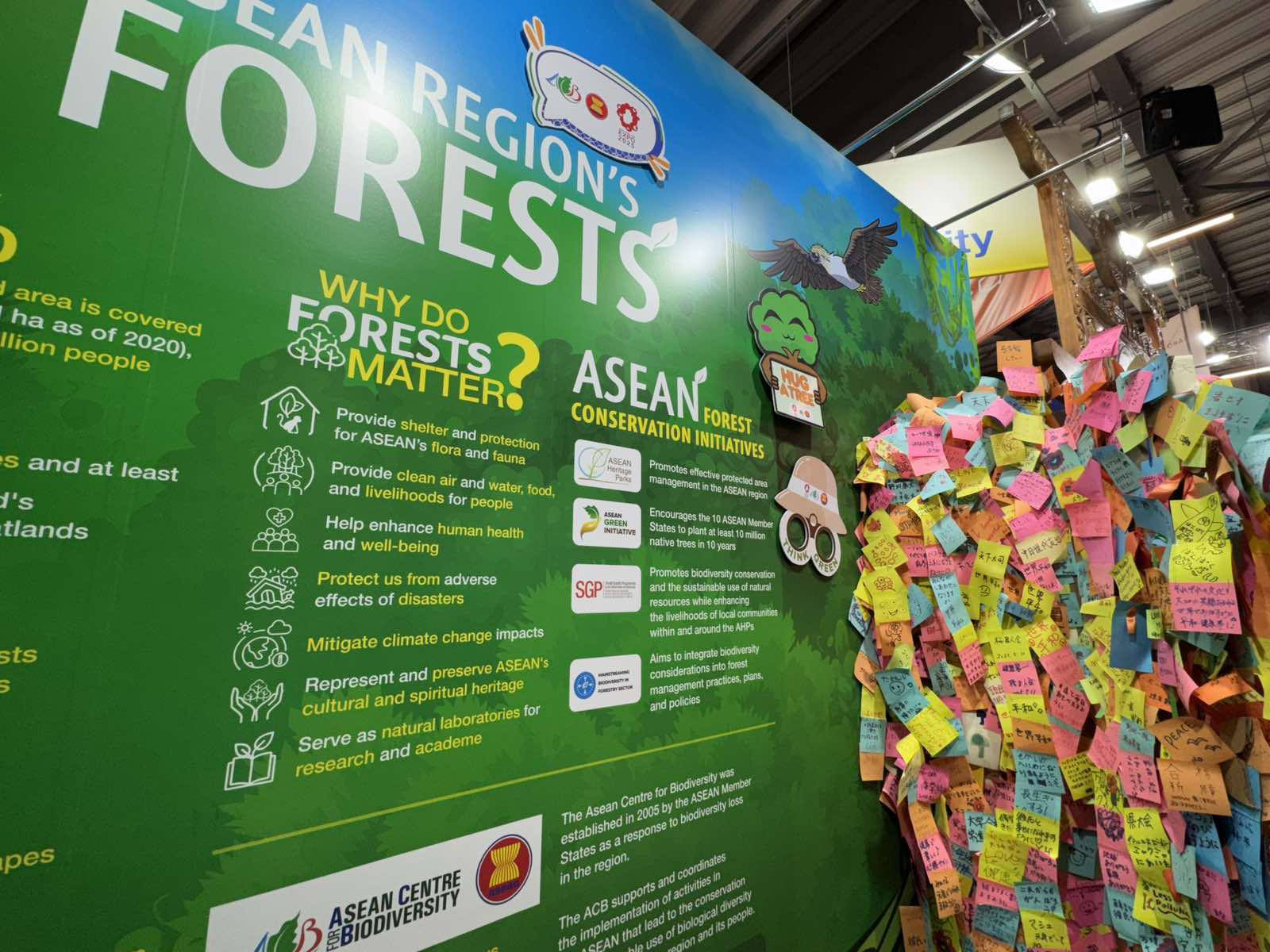 Look at how much our tree... - ASEAN Centre for Biodiversity | Facebook