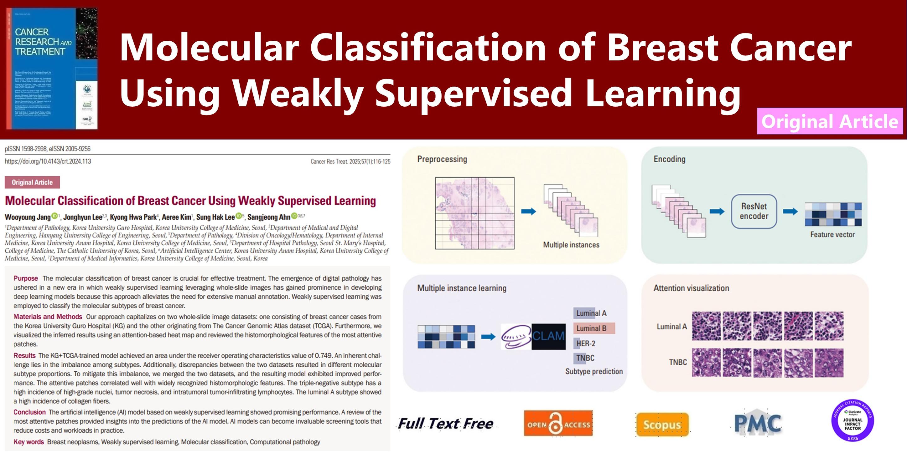 Cancer - Molecular Classification of Breast Cancer Using Weakly ...