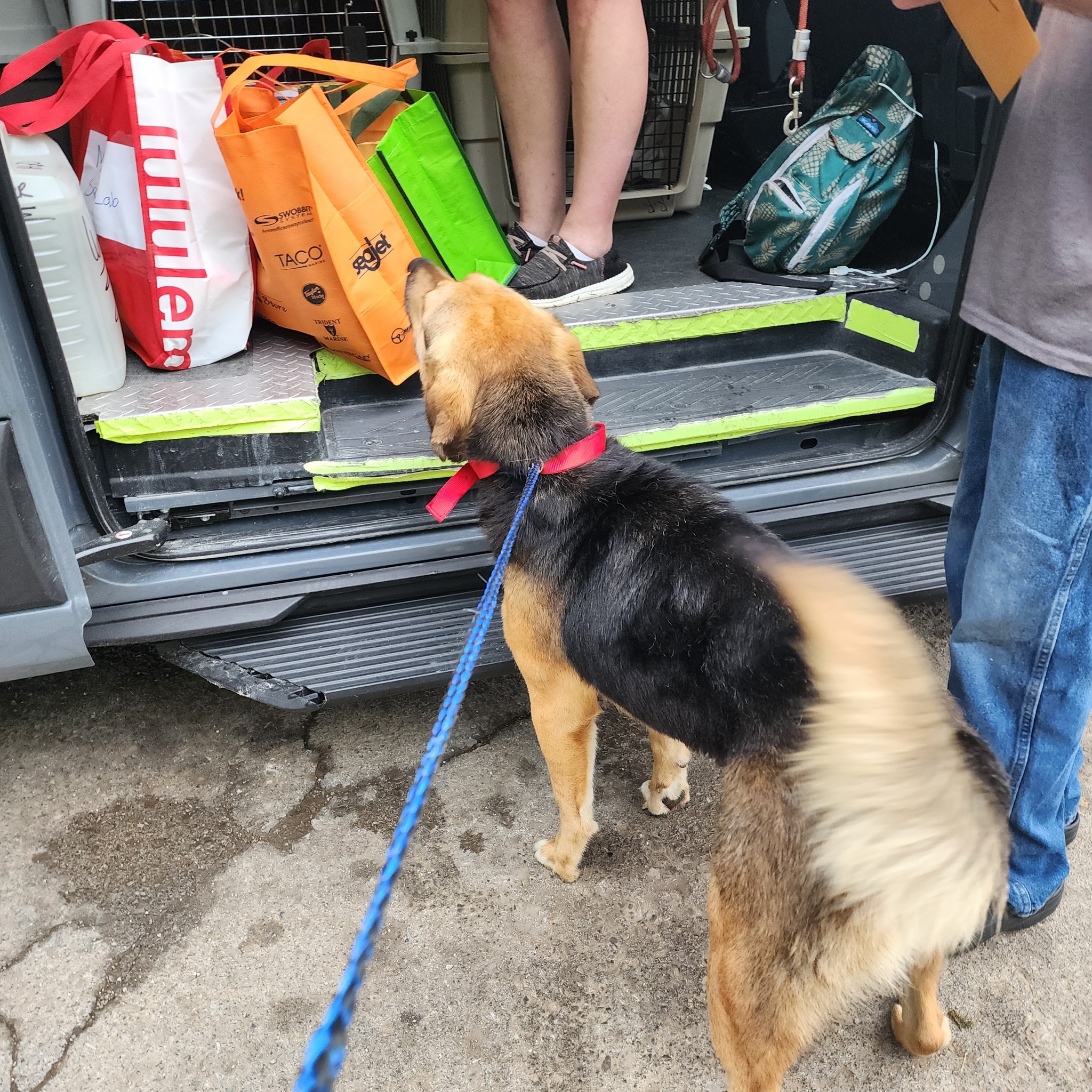 Update: new photos of her in her new home! Thank you for choosing ...