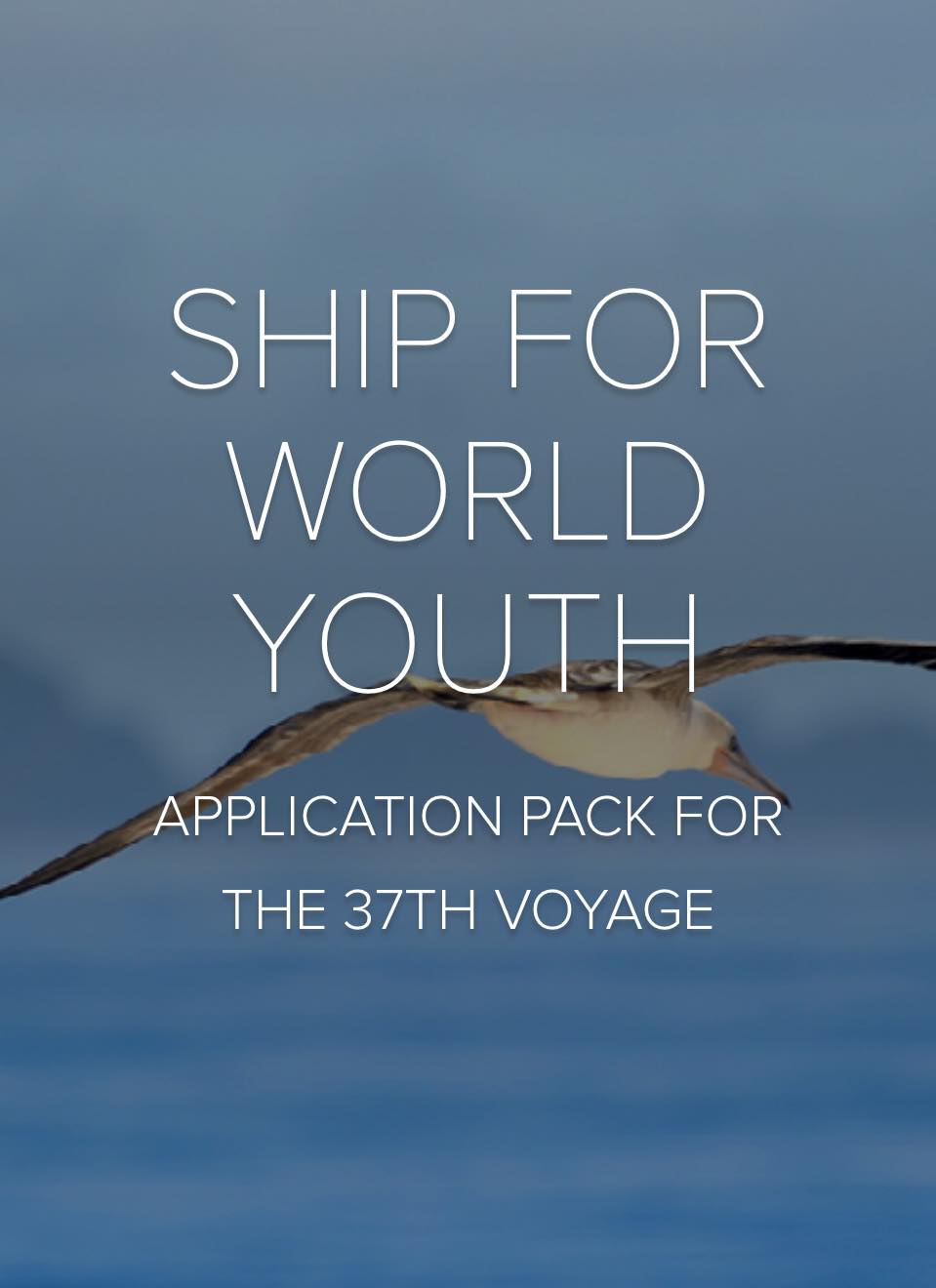 Ministry of Youth Development - New Zealand | Wellington