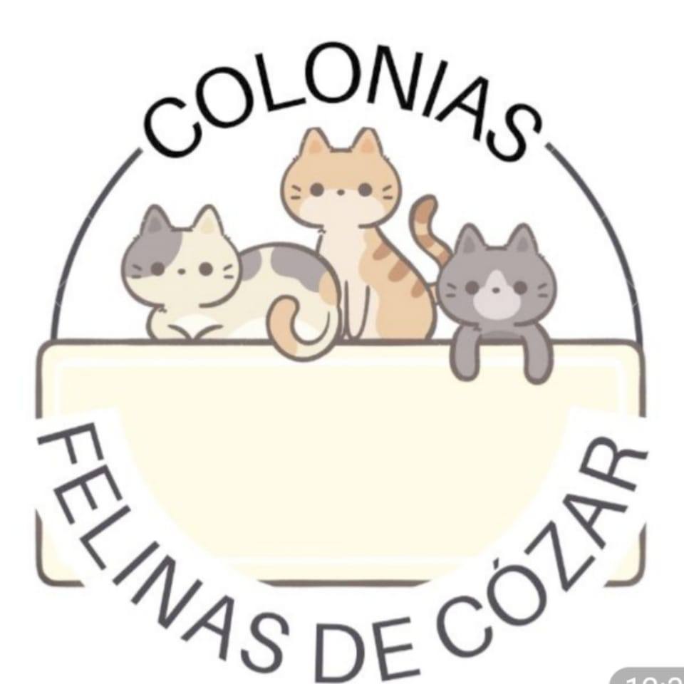 @destacar después de cinco años en la calle y varios intentos de ...