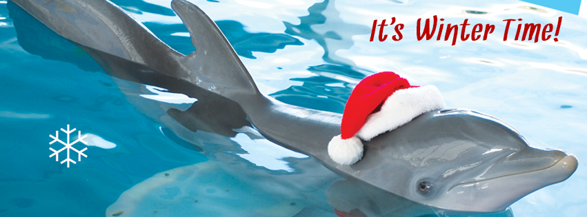 Sauvons Les Animaux Marins Home Facebook