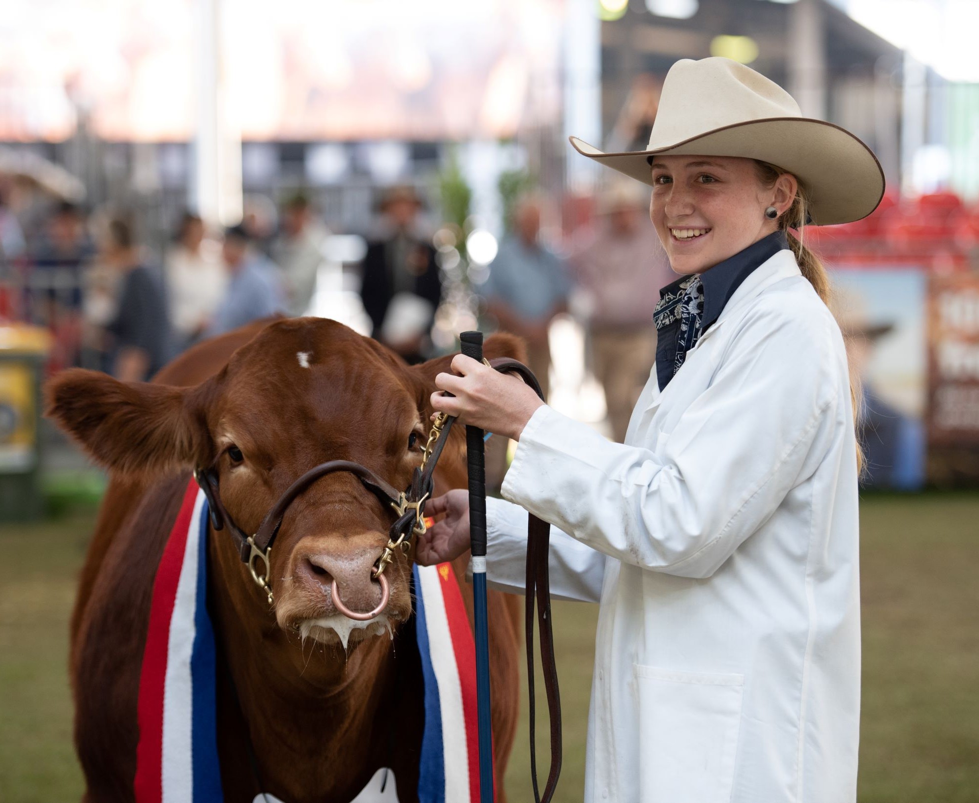 AgShows NSW - 🎉 Calling all Beef Paraders! 🐮 The F002 –... | Facebook