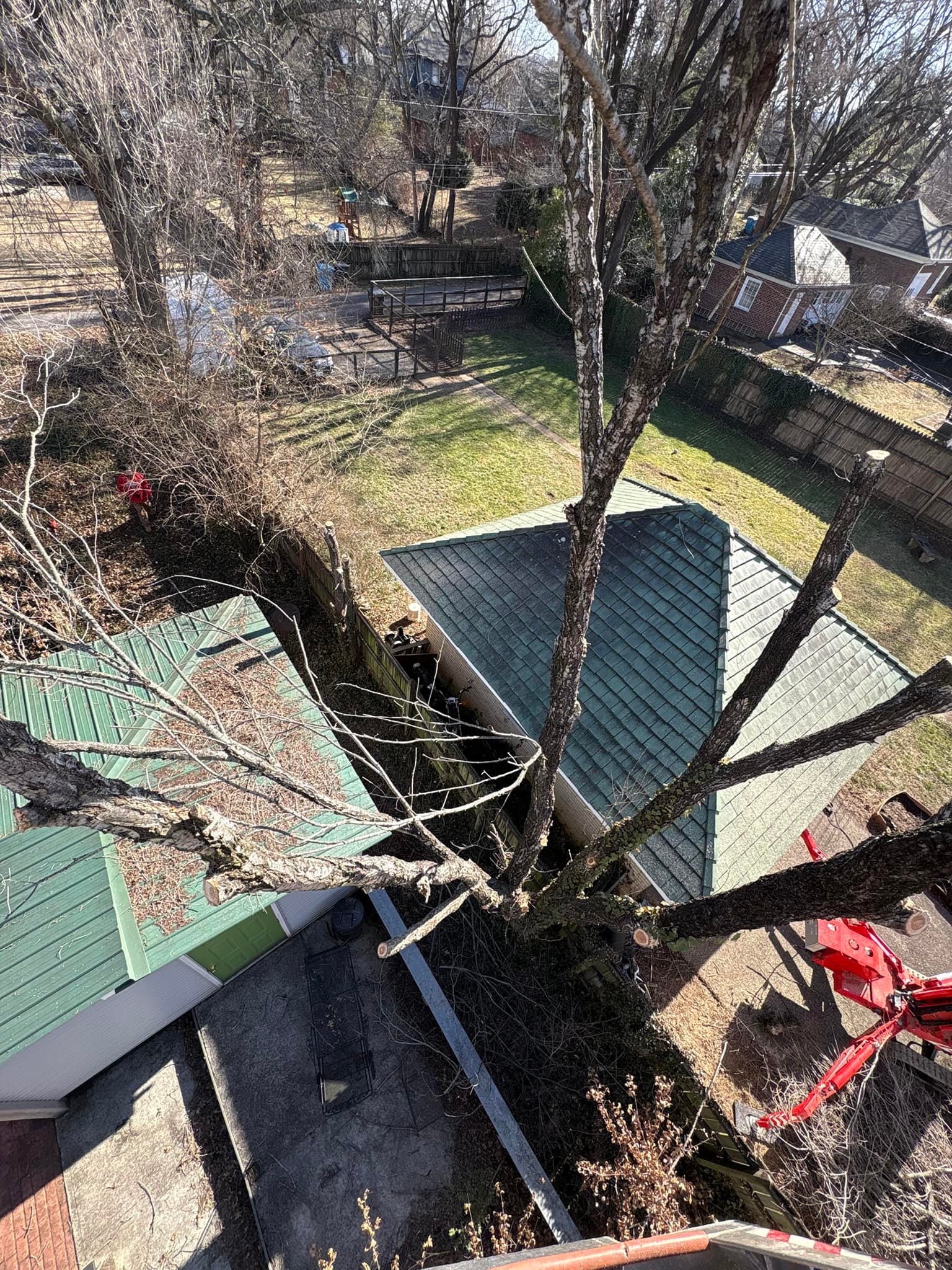 Timber Ridge Tree Service LLC