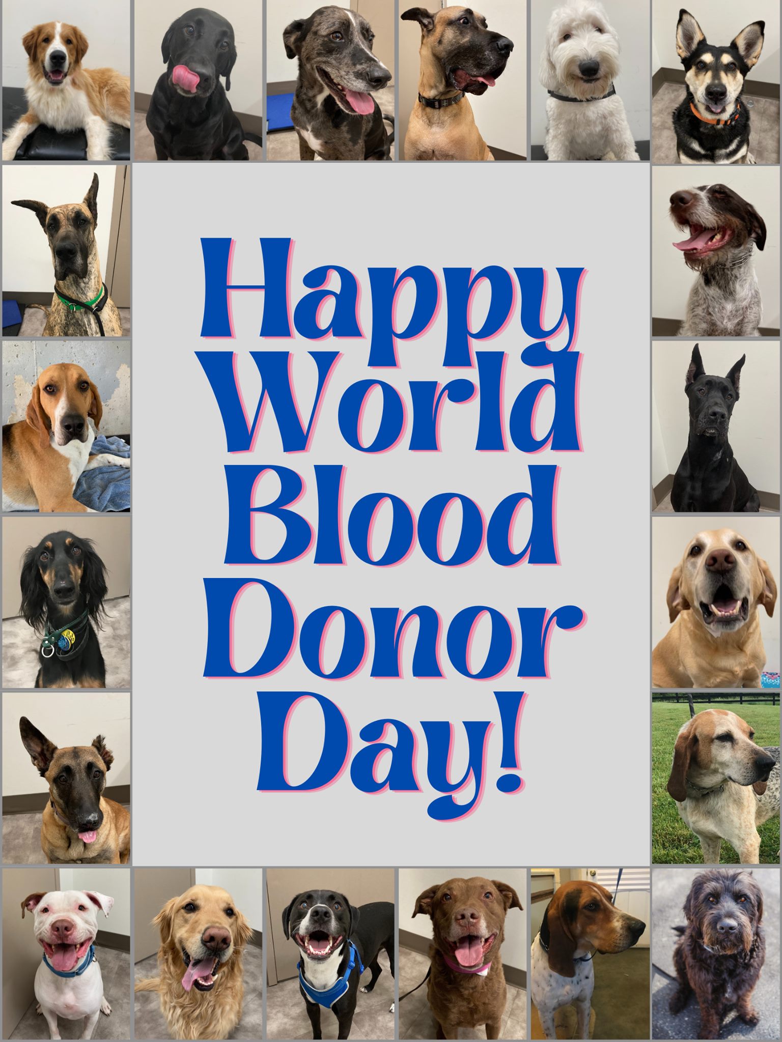 NAVBB - Happy World Blood Donor Day Thank you to every... | Facebook