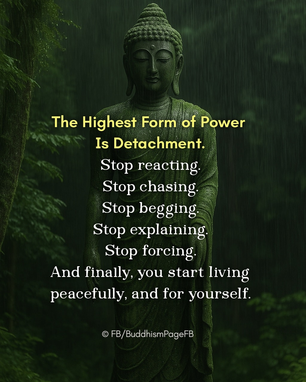 Buddhism - The highest form of power is detachment.. | Facebook