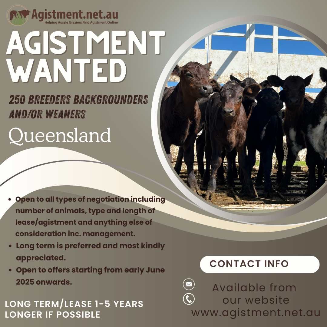 🌱 Ongoing Agistment Needs in QLD 🌱 We... - Agistment.net.au | Facebook