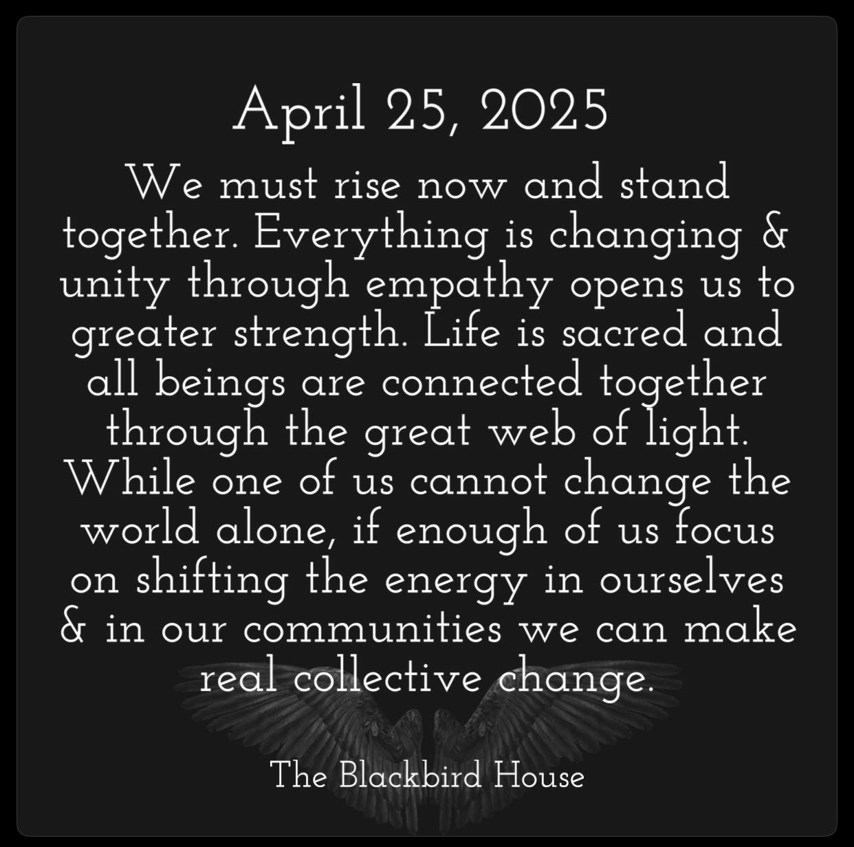 The Blackbird - We must rise now and stand together. Everything is ...