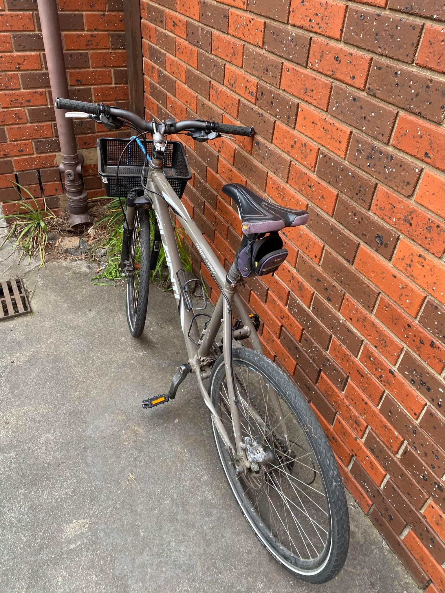 Avanti Ridge Rider Bike - Disk Brakes - Bicycles - Melbourne, Victoria ...
