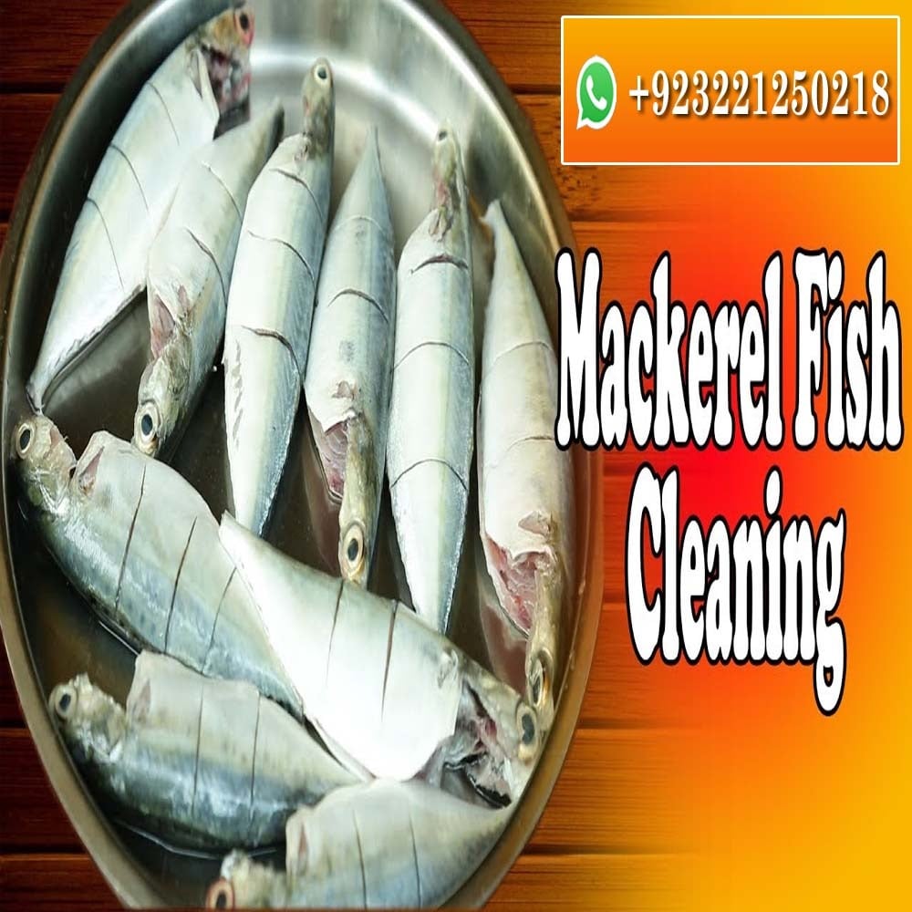 Fish Express