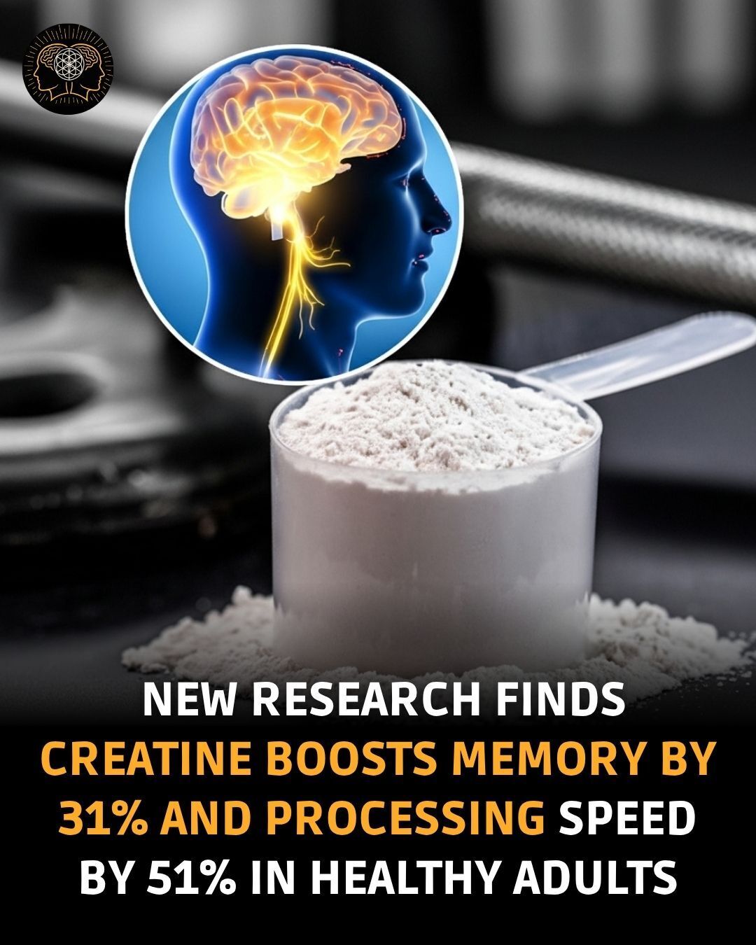 Mind - Brain gains, faster thoughts, clearer recall. A powerful new ...