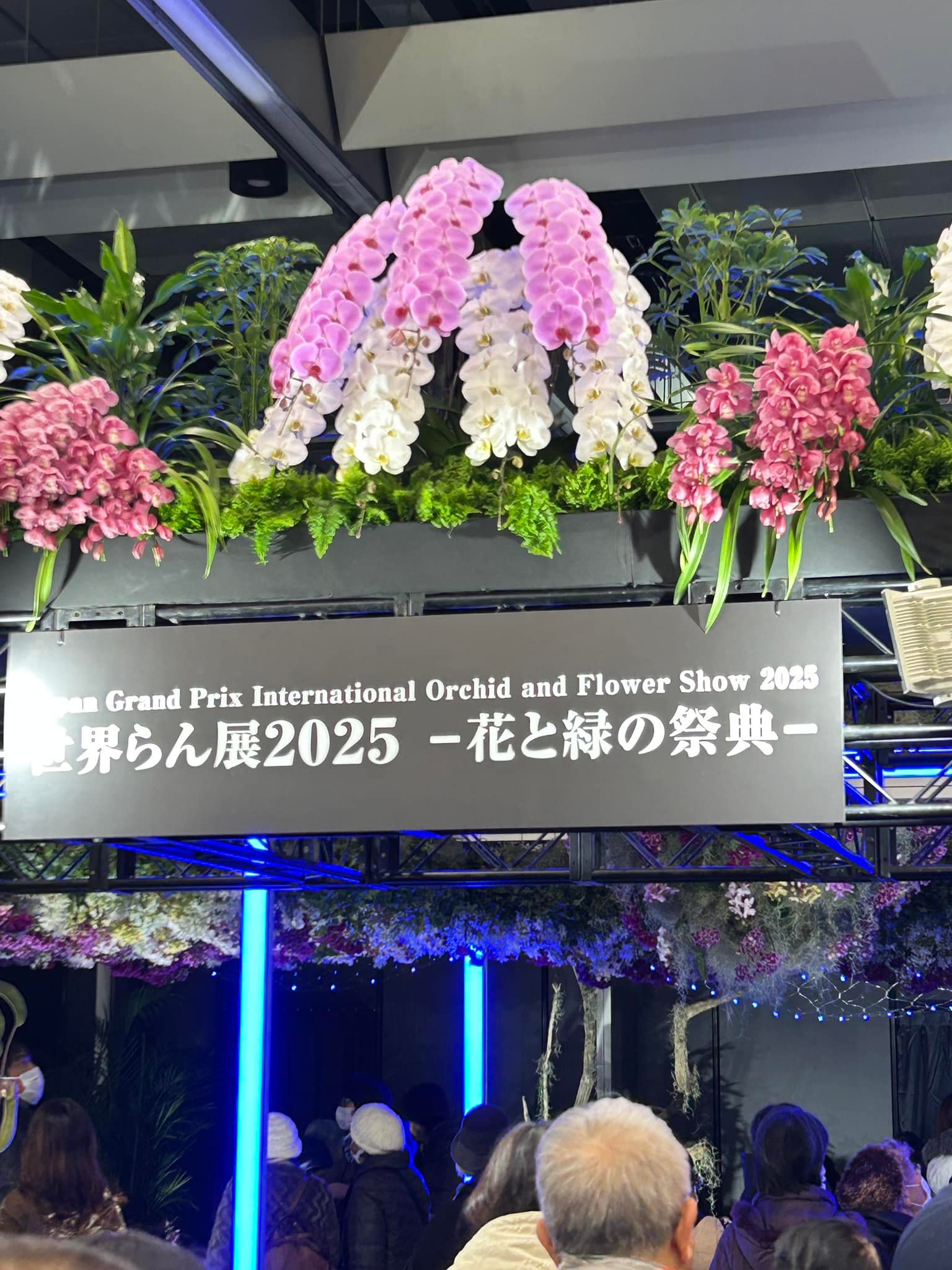 JGP international orchids and flower show 2025 JGP was held 