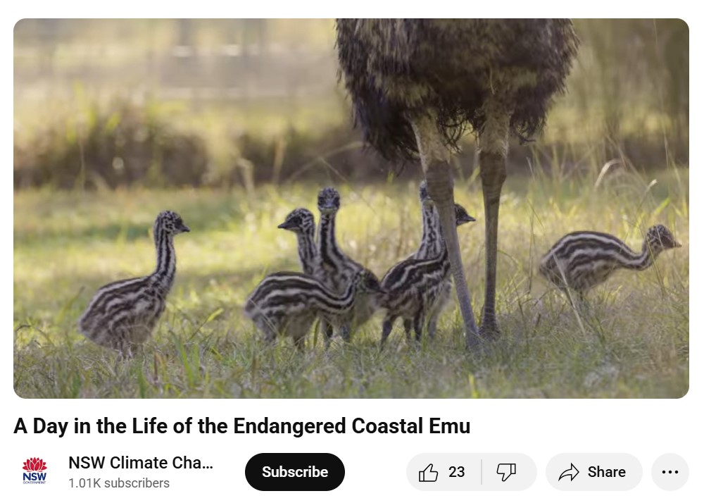 A recently released short film... - Clarence Valley Council | Facebook