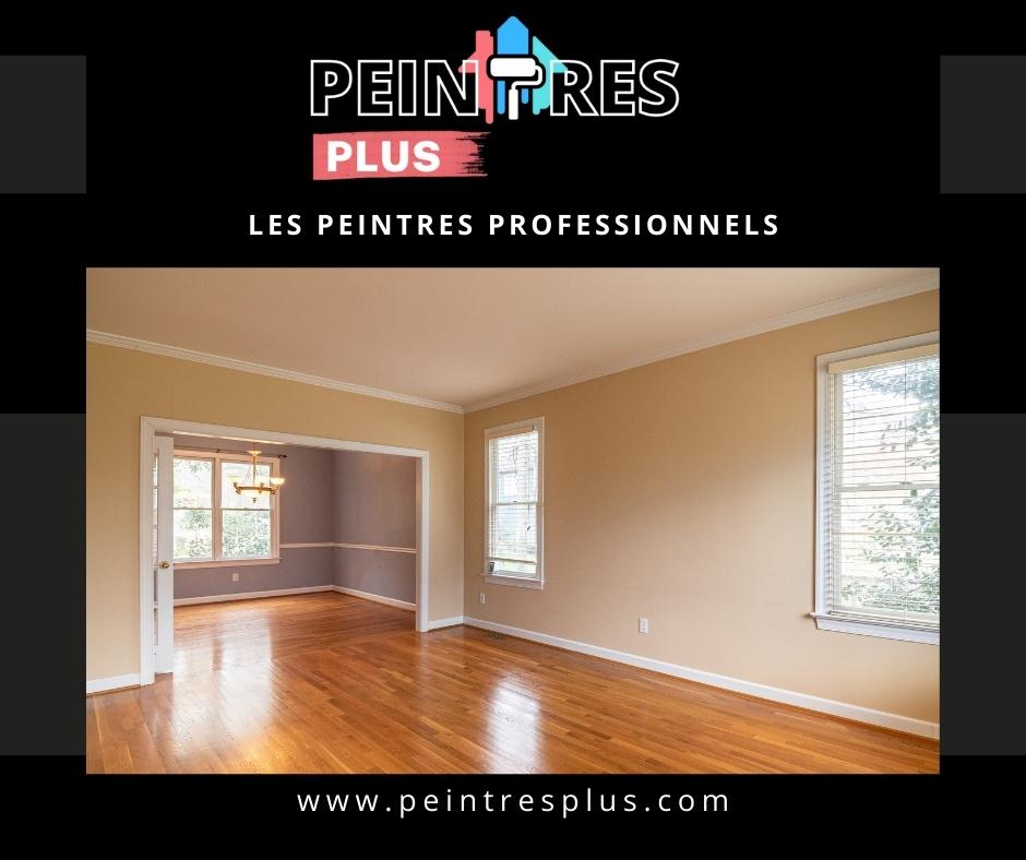 Peintres Plus - 🟧🟨🟩🟦🟪⬜️⬛️ Pour tous vos besoins en peinture, appelez ...