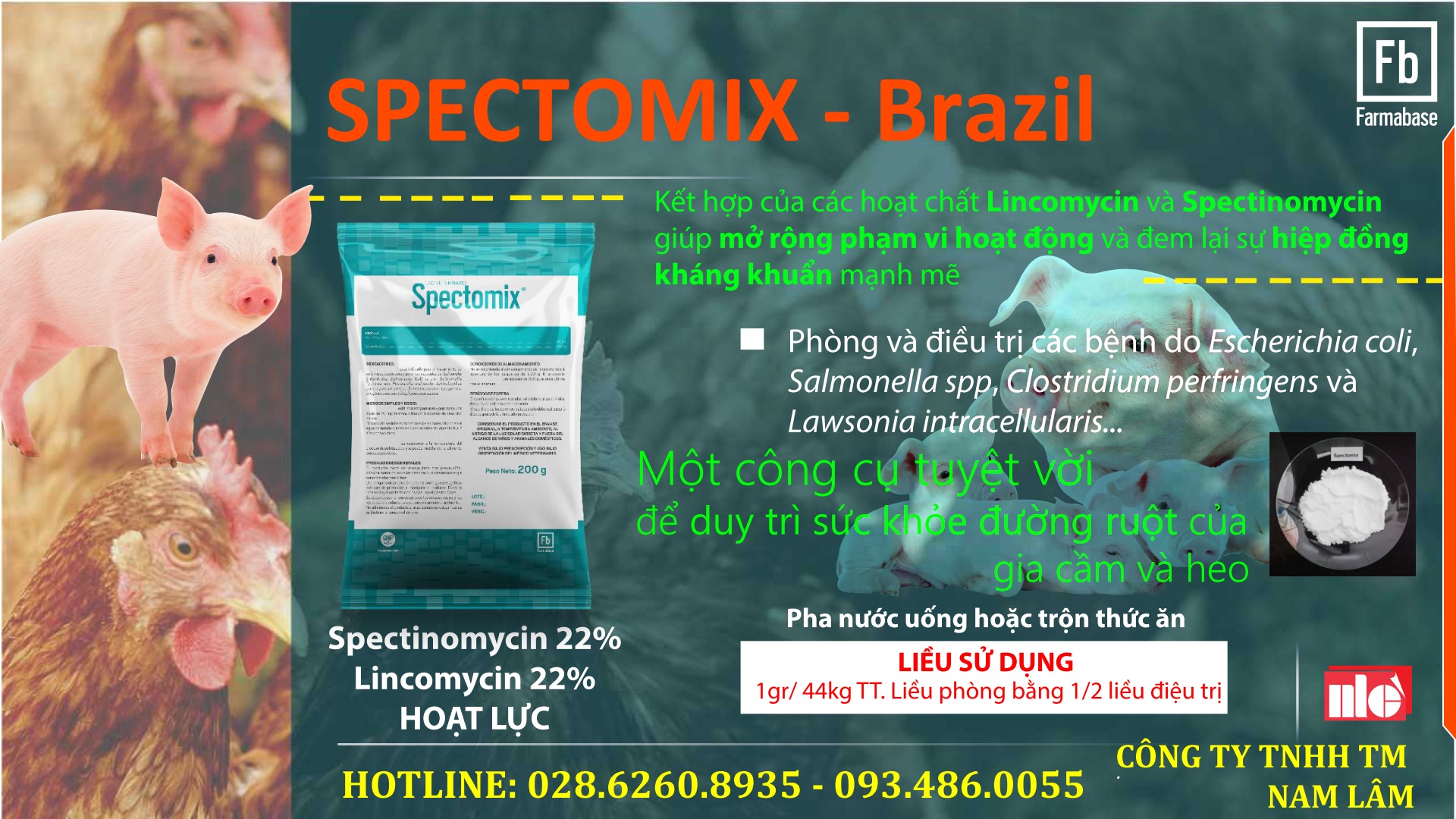 Công - SPECTOMIX - Spectinomycin 22% ; Lincomycin 22% Nhập khẩu ...