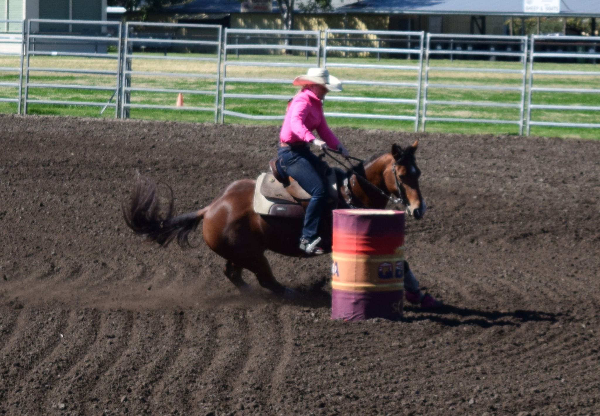 QBRA - Queensland Barrel Racing Association | Facebook