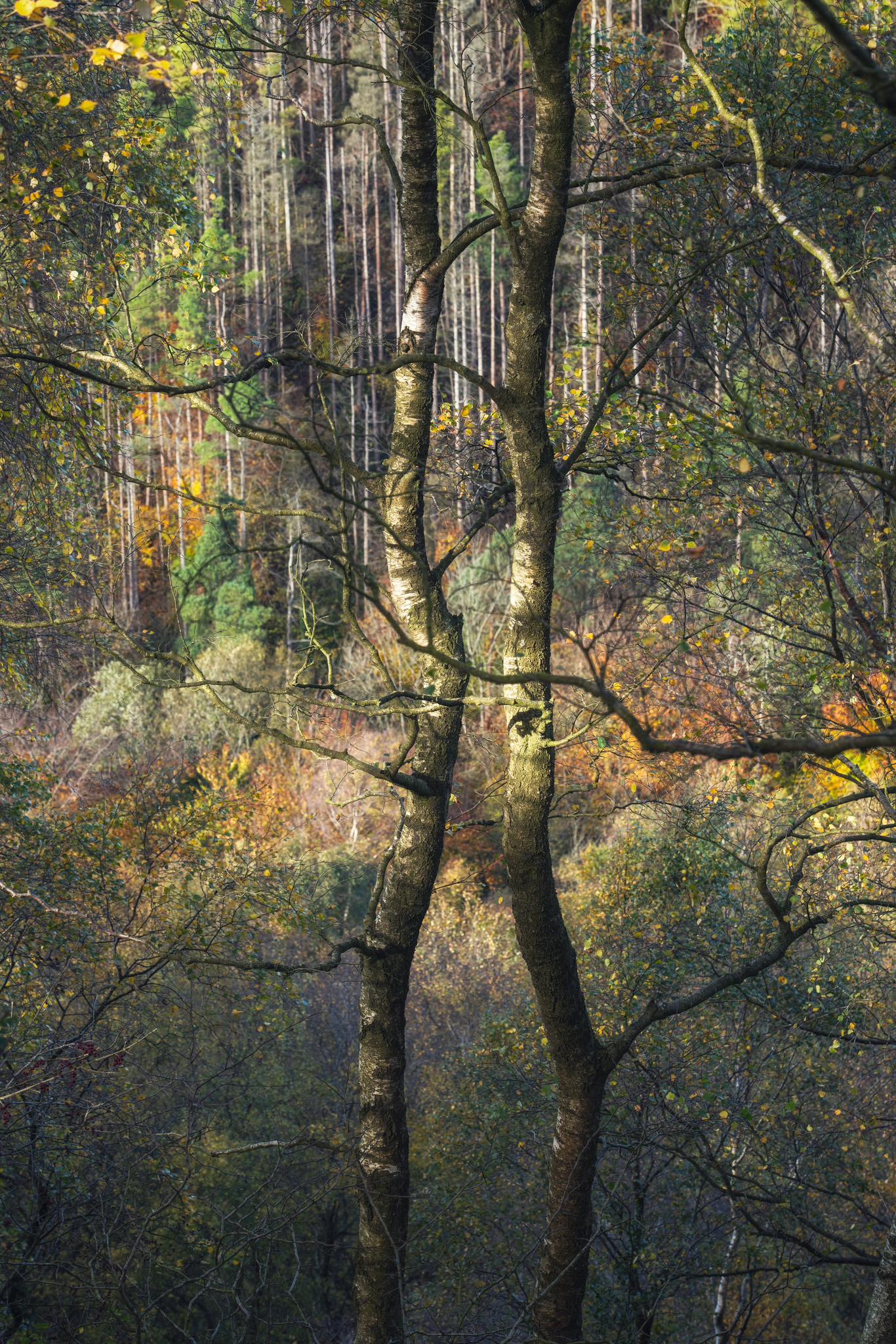 Tom Blockley Photographer