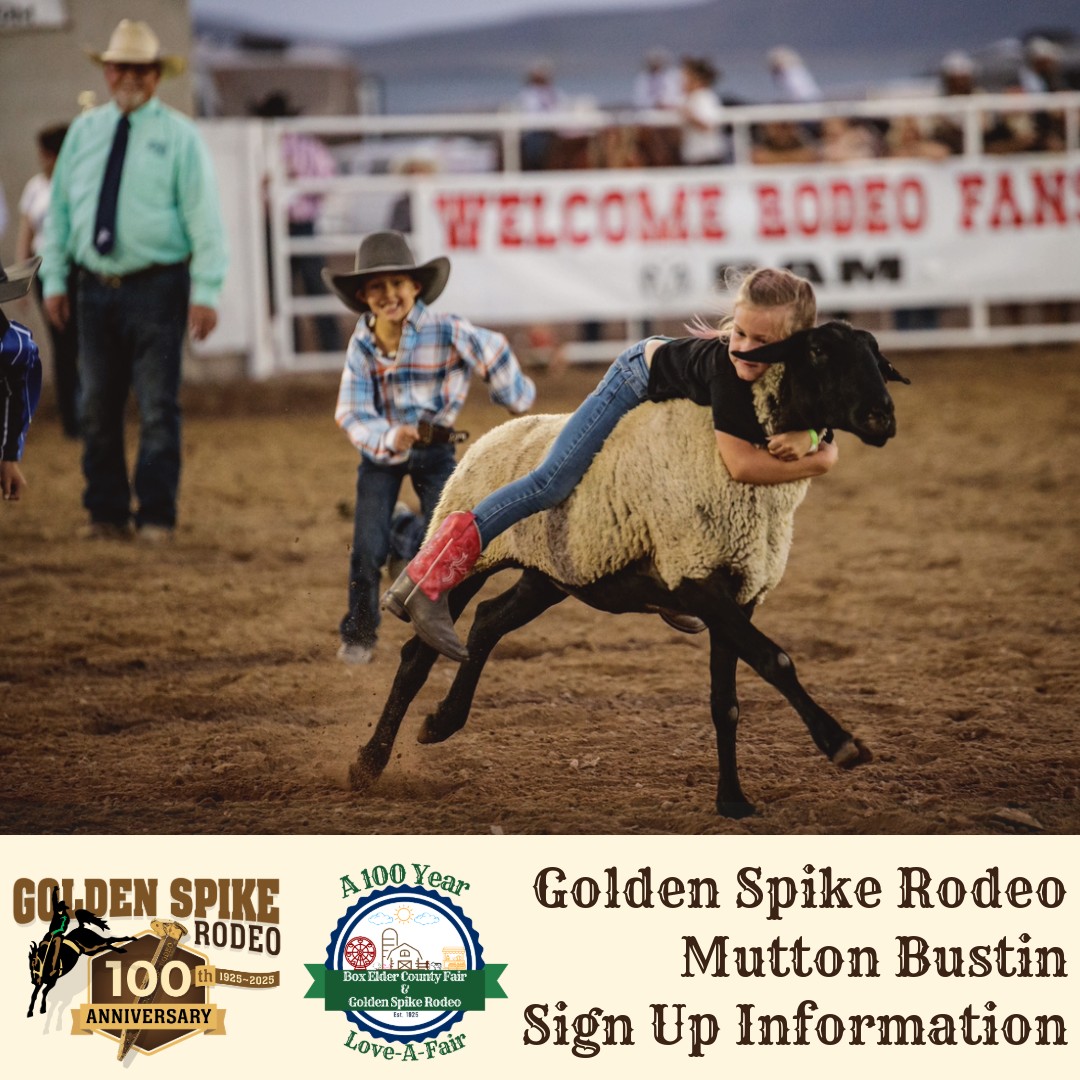 🐑 GOLDEN SPIKE RODEO MUTTON BUSTIN’... - Box Elder County | Facebook