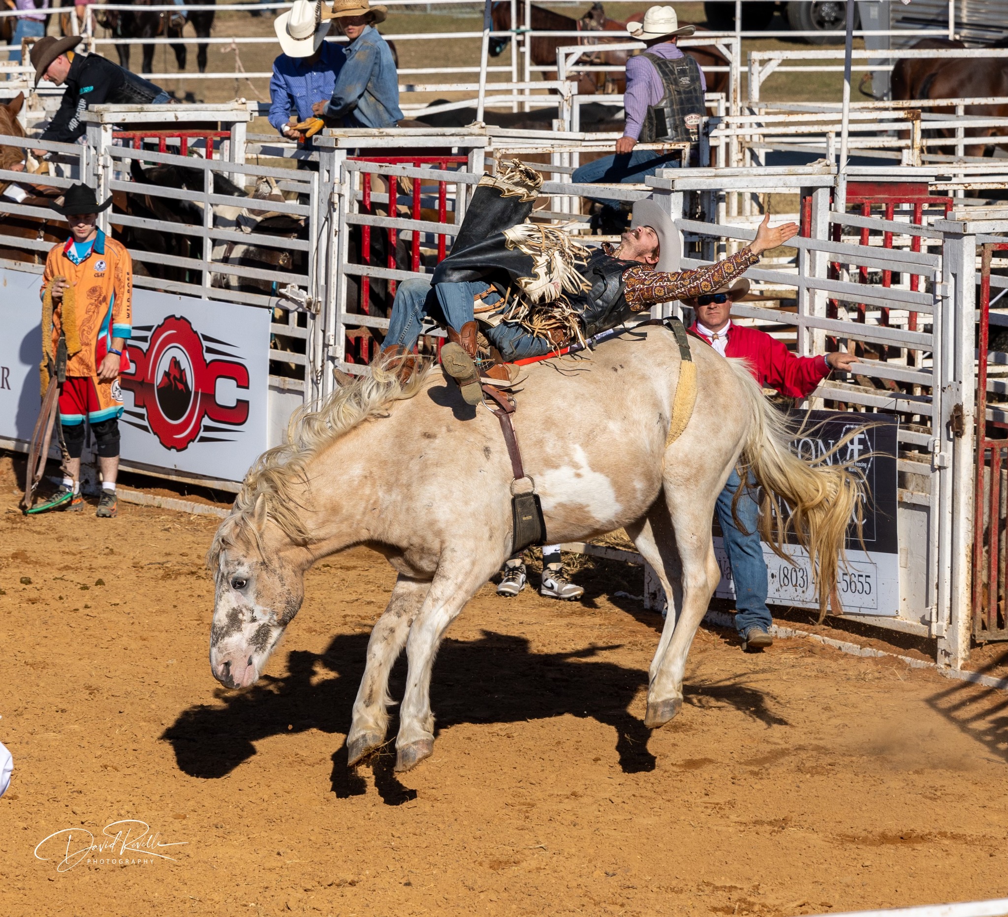 David Revelle Photography