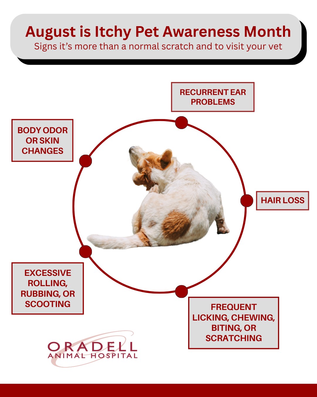 Itch happens… but it doesn’t... - Oradell Animal Hospital | Facebook