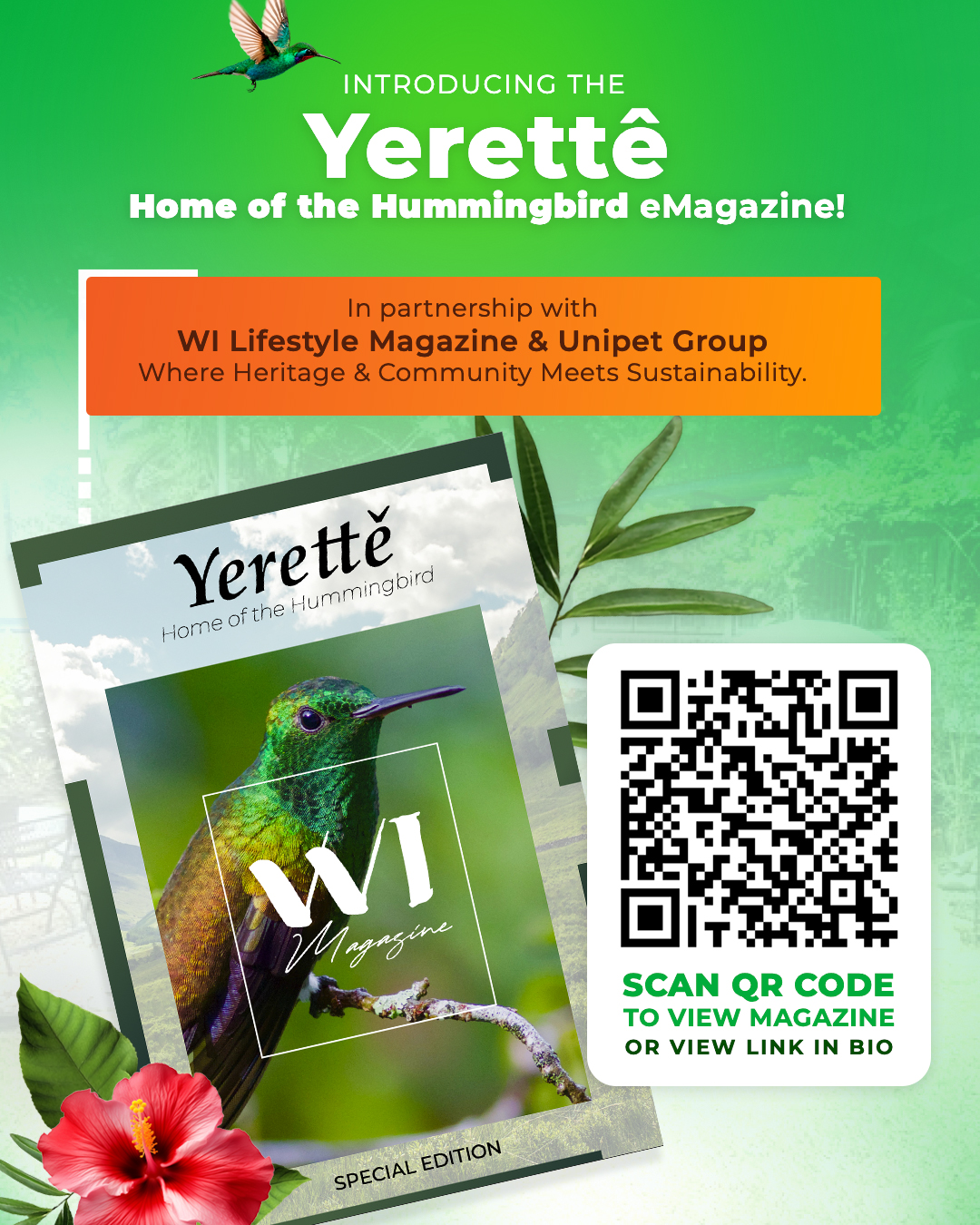 WI - 🌿 Yerettê – Home of the Hummingbird eMagazine Launch! 🕊️ In ...