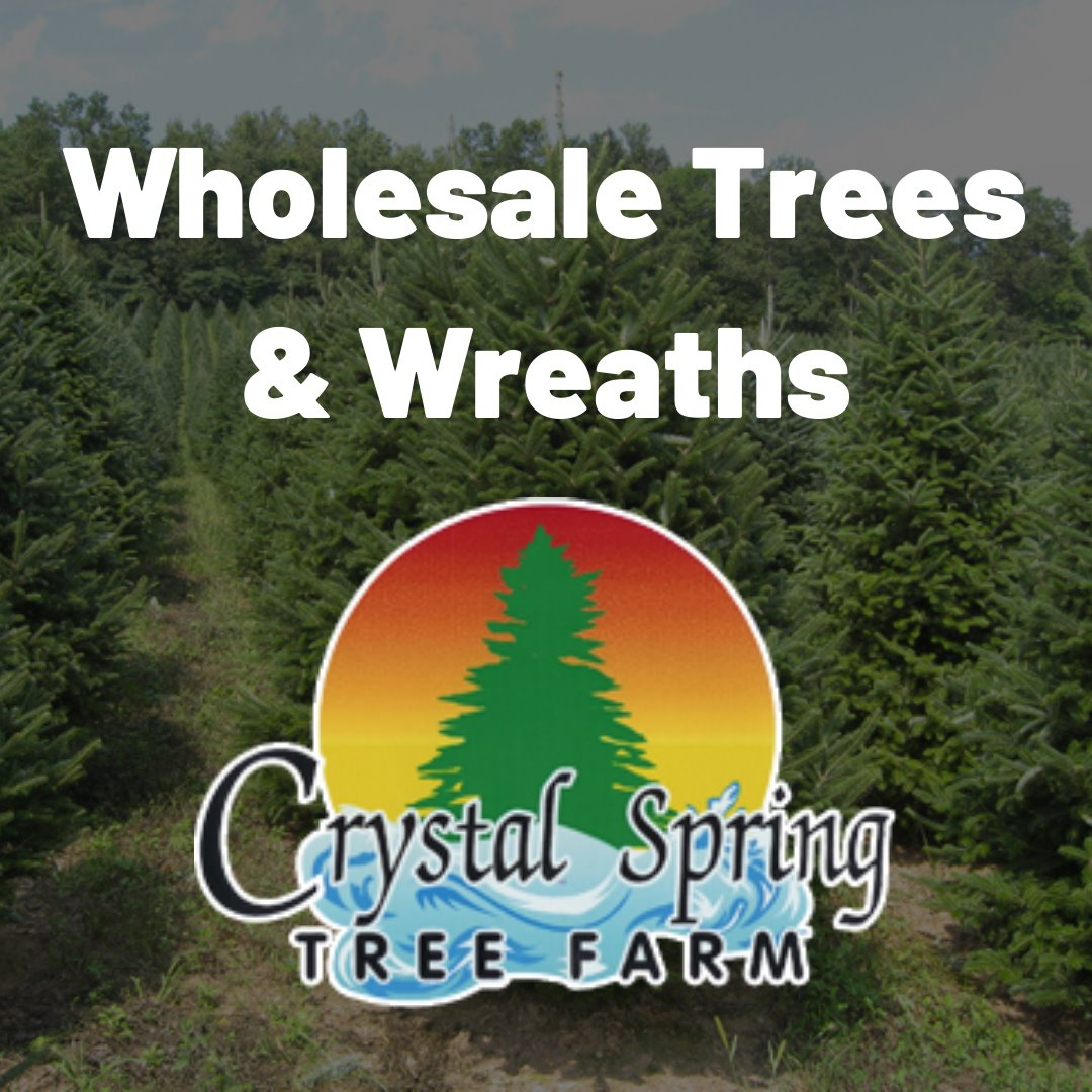 Get your perfect Christmas Tree... - Crystal Spring Tree Farm | Facebook
