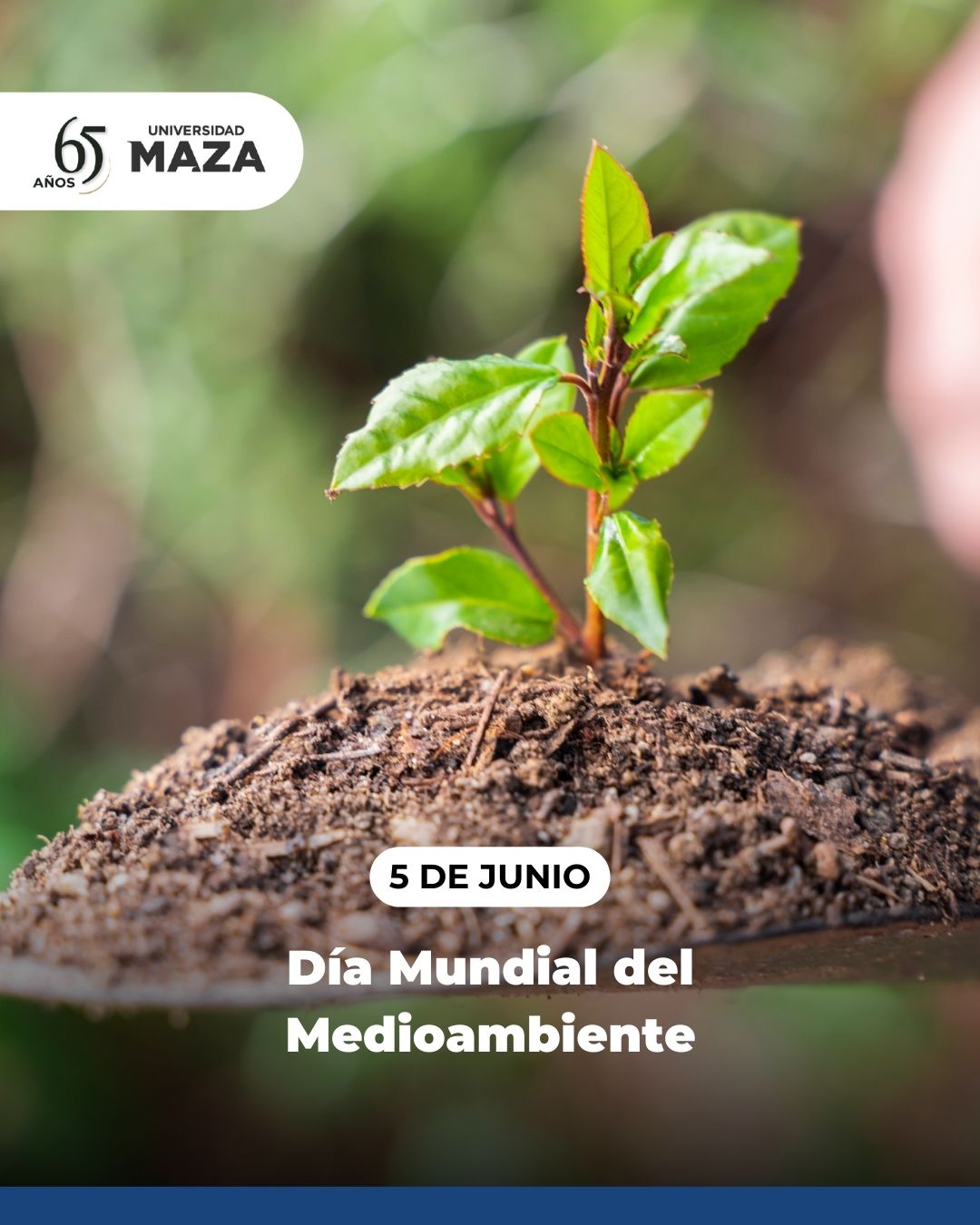 somos - 5 de junio | Día Mundial del Medio Ambiente Fecha establecida ...