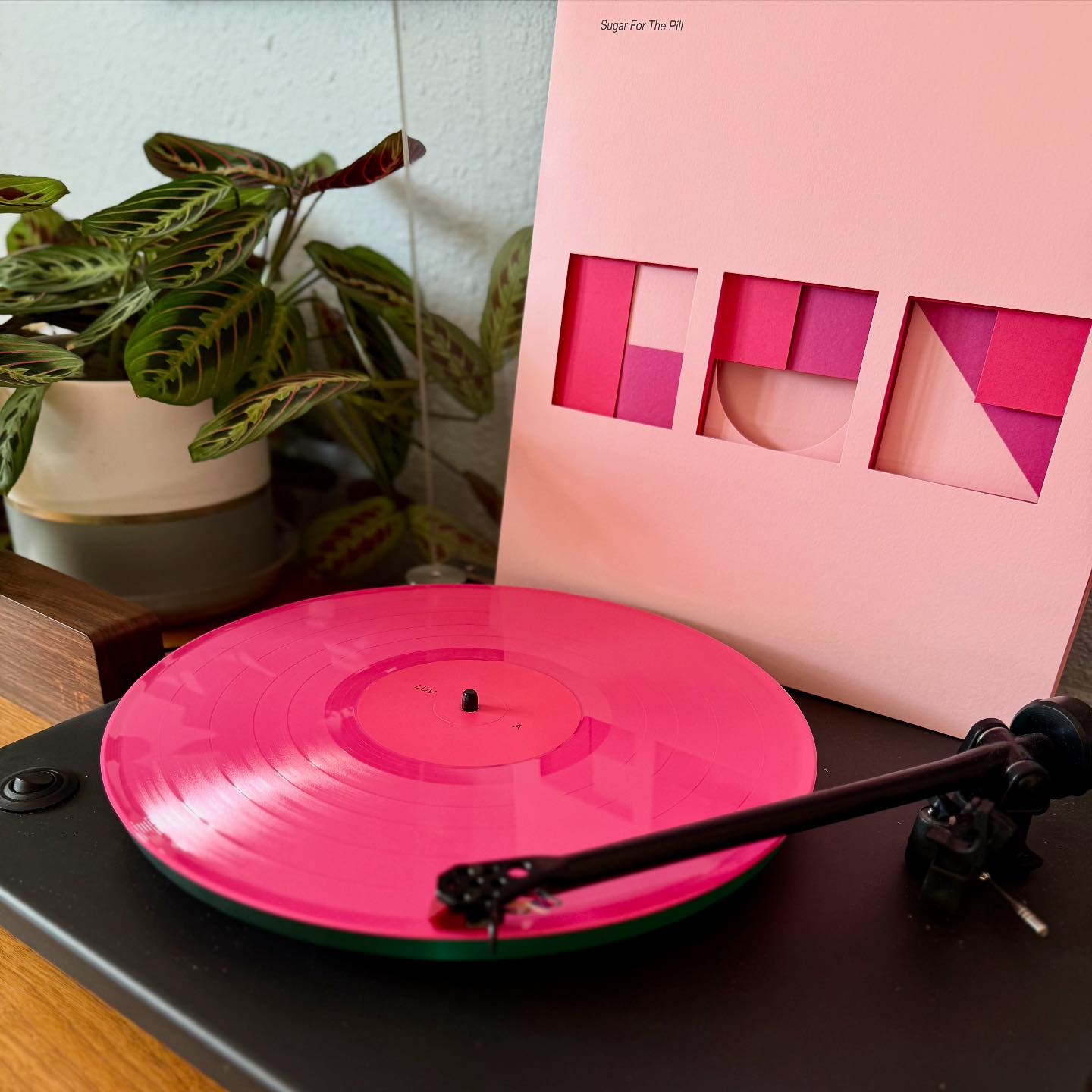 Lisa Loeb - 'Tails IVC Edition 2LP' gatefold on pink galaxy vinyl