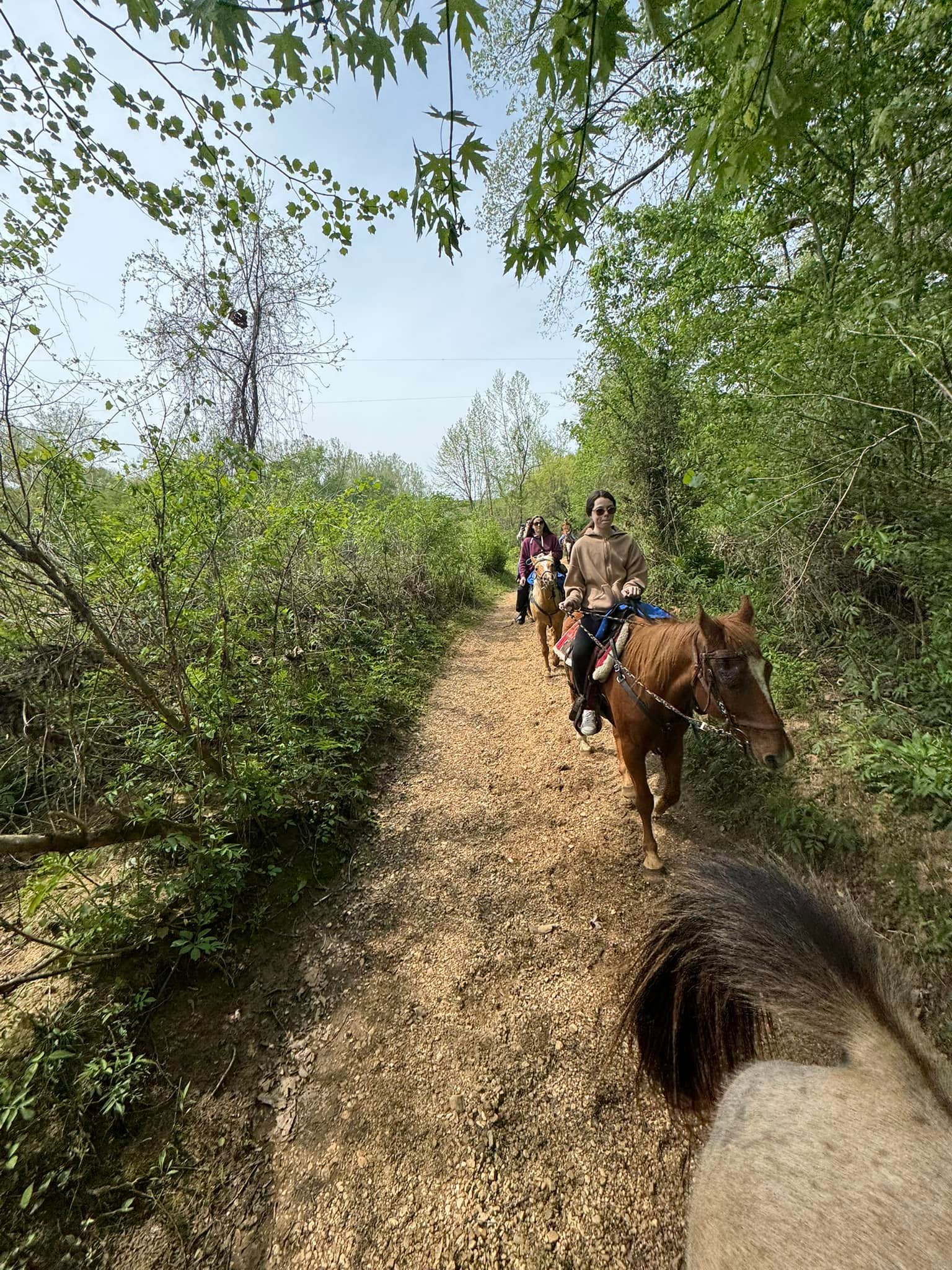 Old Desperado Ranch added a new photo. - Old Desperado Ranch