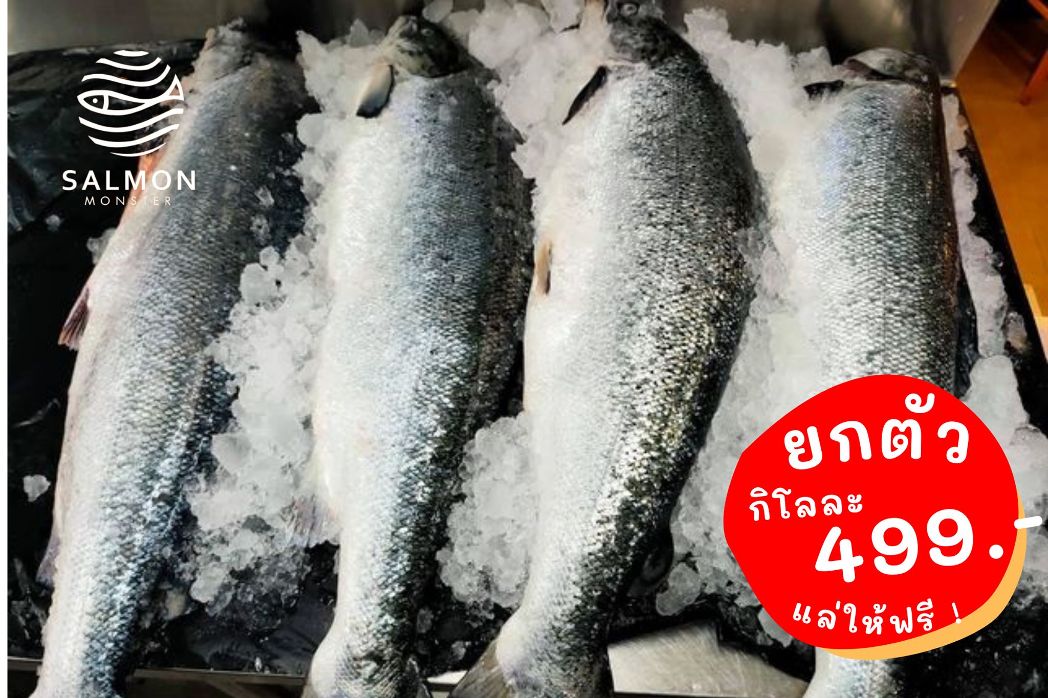 🐟 ซื้อแซลมอนยกตัว 💦 💥 ราคาพิเศษ... - Salmon Monster Delivery | Facebook