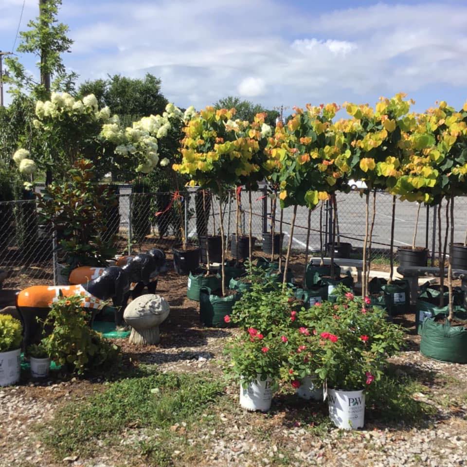 Bradford's Nursery and Landscaping Home