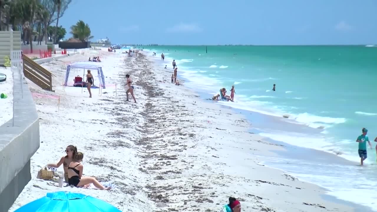 Shark reportedly bites off hand of... - LOCAL 12, WKRC-TV | Facebook