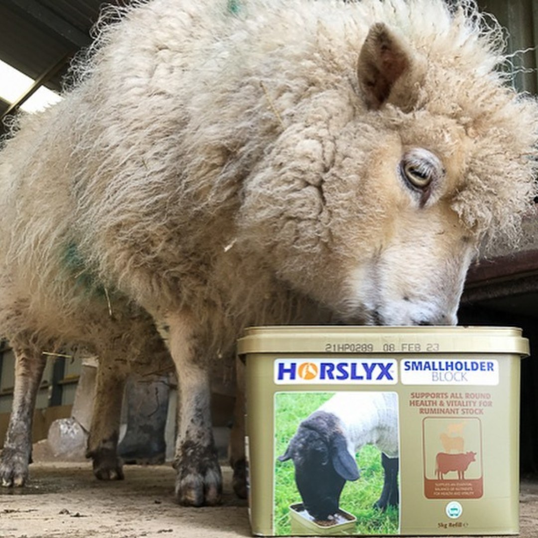 Smallholder - Did you know? Our Smallholder Block is a game-changer for ...