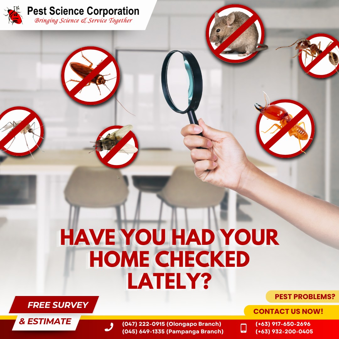 Step inside each room to uncover the pests that could be hiding in