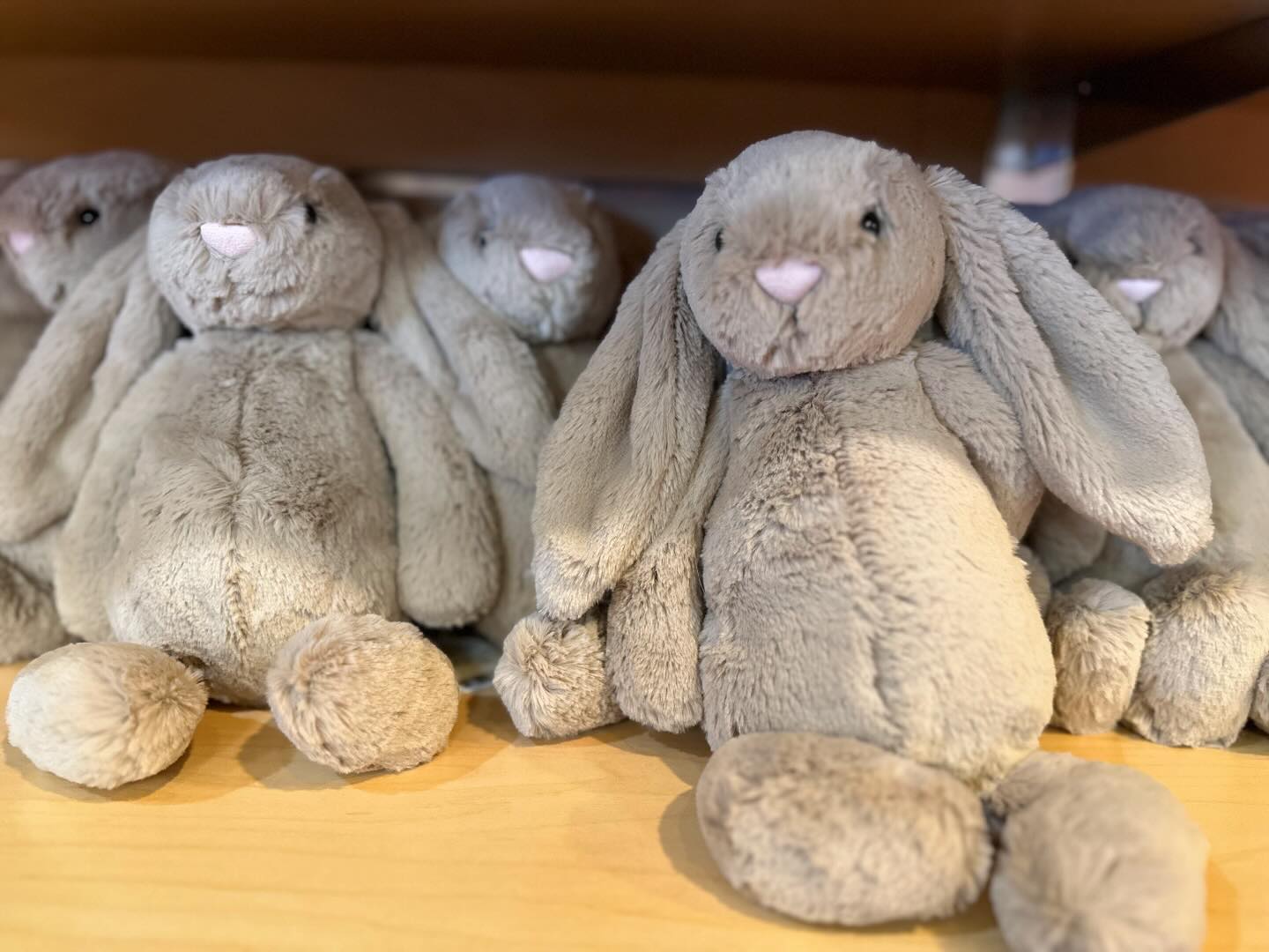 Toy Mania: Charlotte Toy Store - It's a Christmas miracle! We recently ...