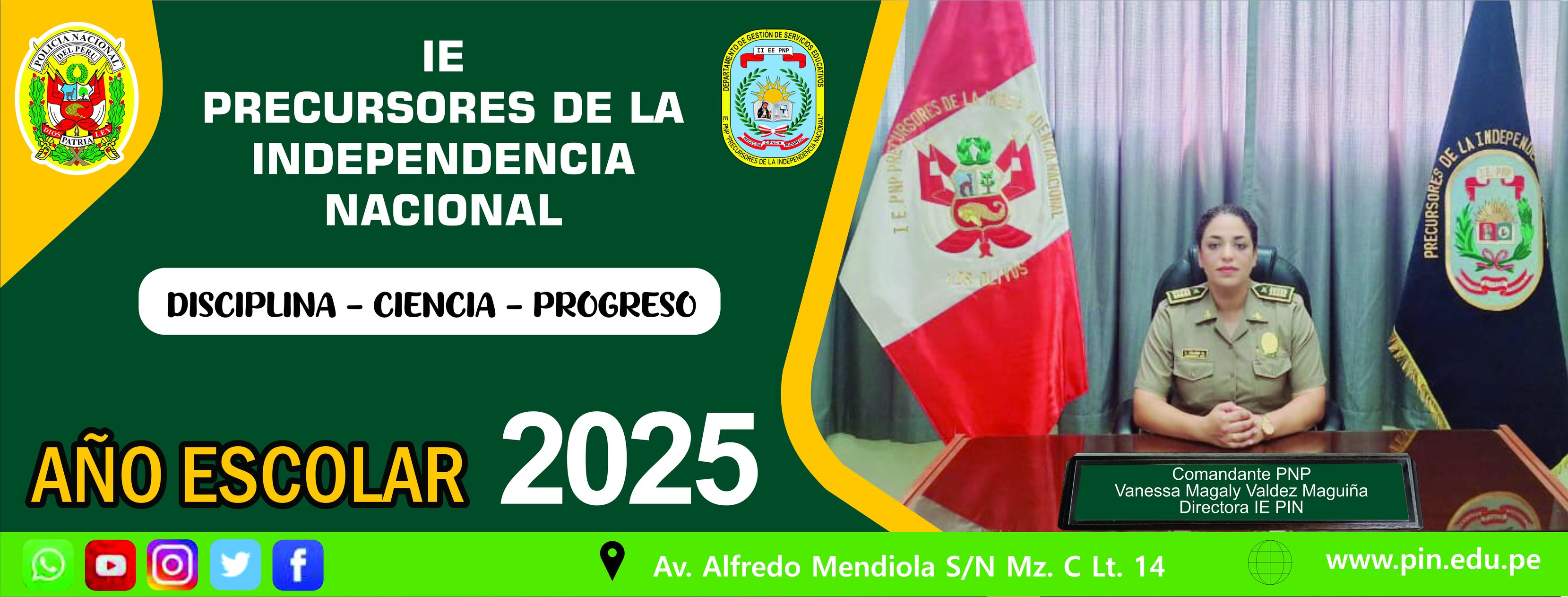 Pin Pnp