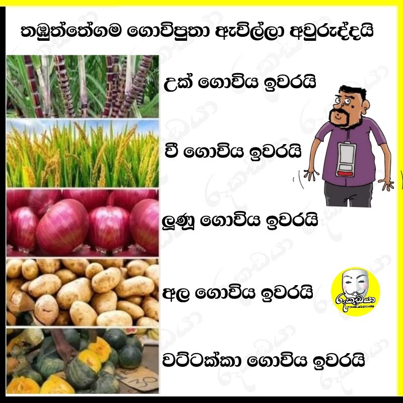 Rookadaya - ගොවියාට කෙ,,ලවලා නම් වැඩි කල් ඉන්න බෑ පුතේ 🤣🤣🤣 | Facebook