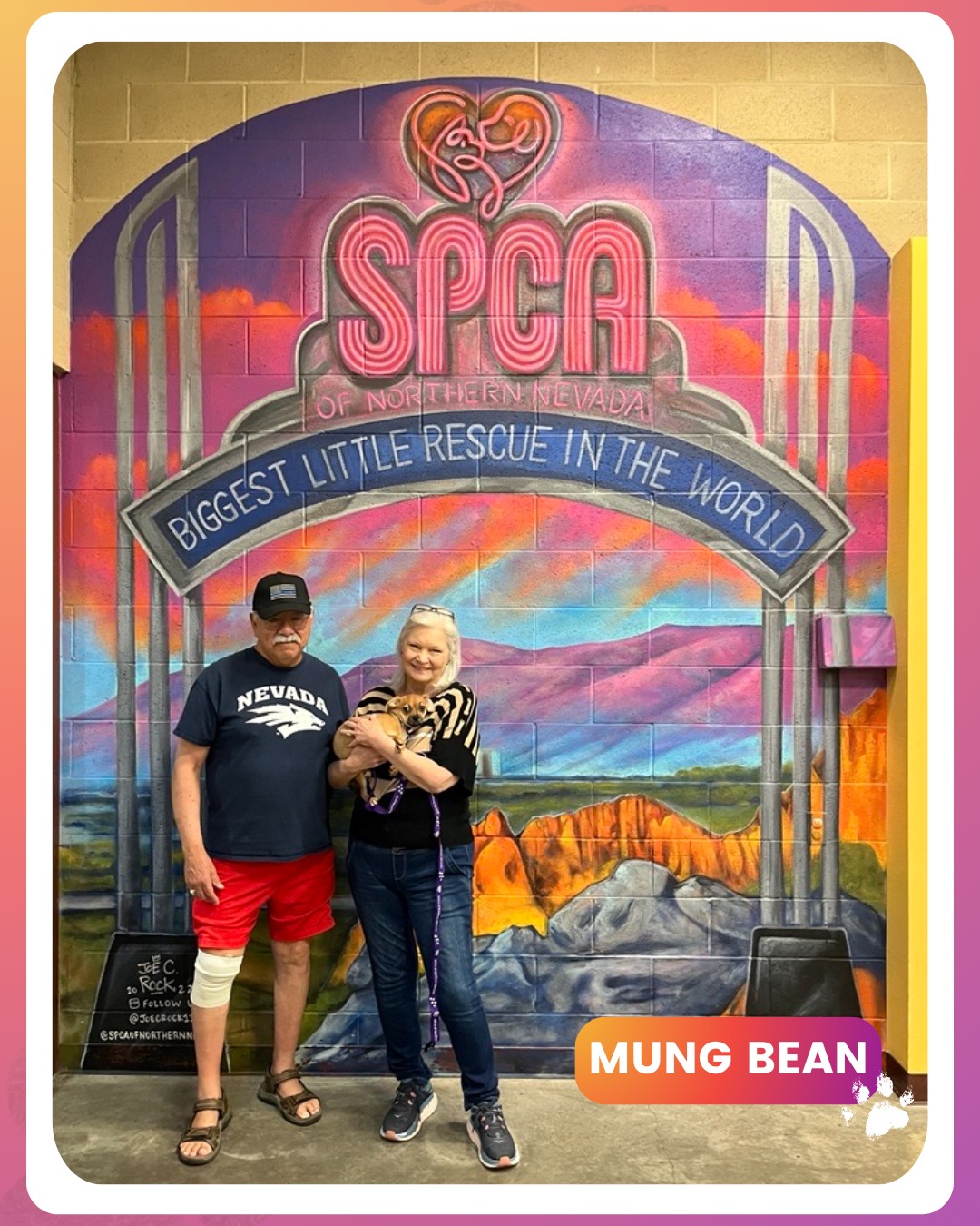 SPCA of Northern Nevada | Reno NV