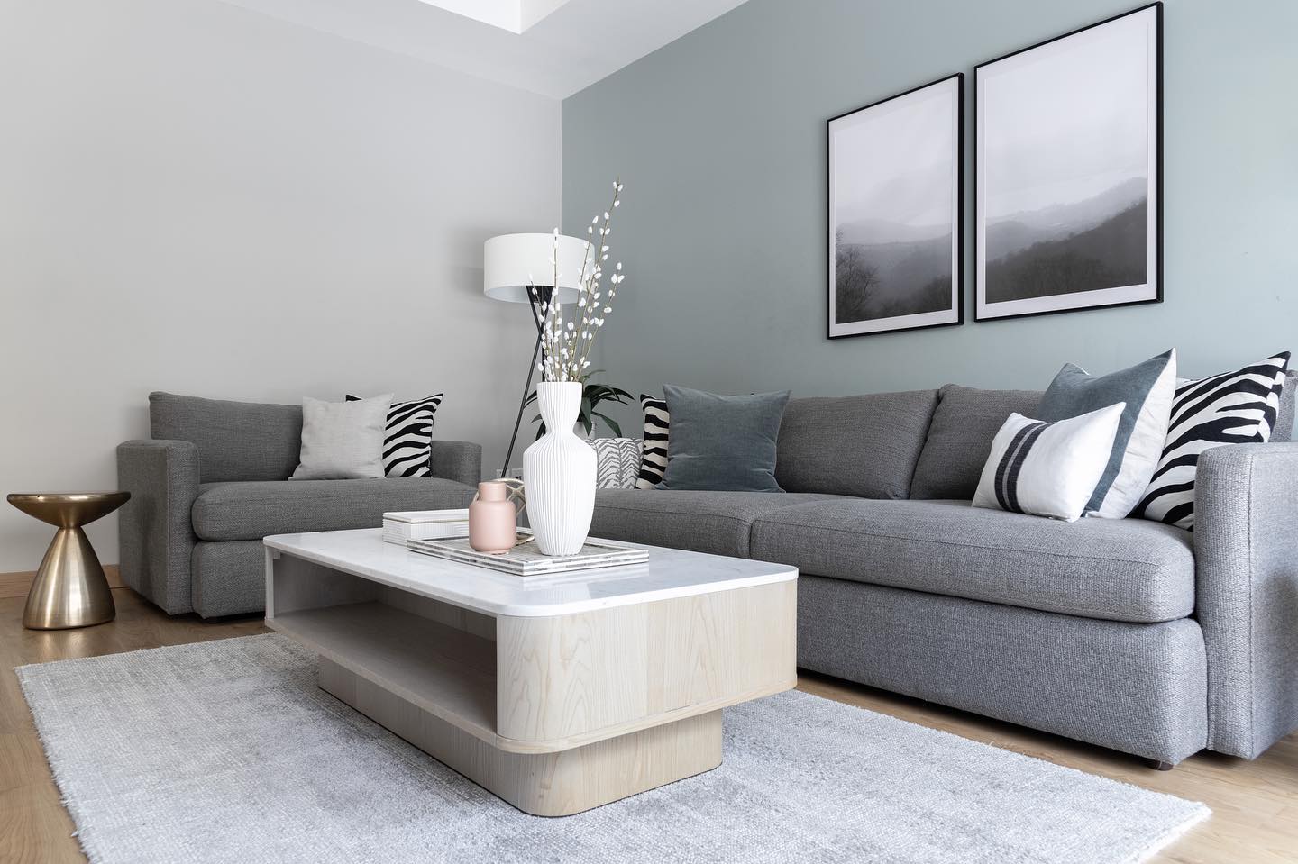 NEW PROJECT REVEAL, BEFORE/AFTER Mira... - Decovate Designs