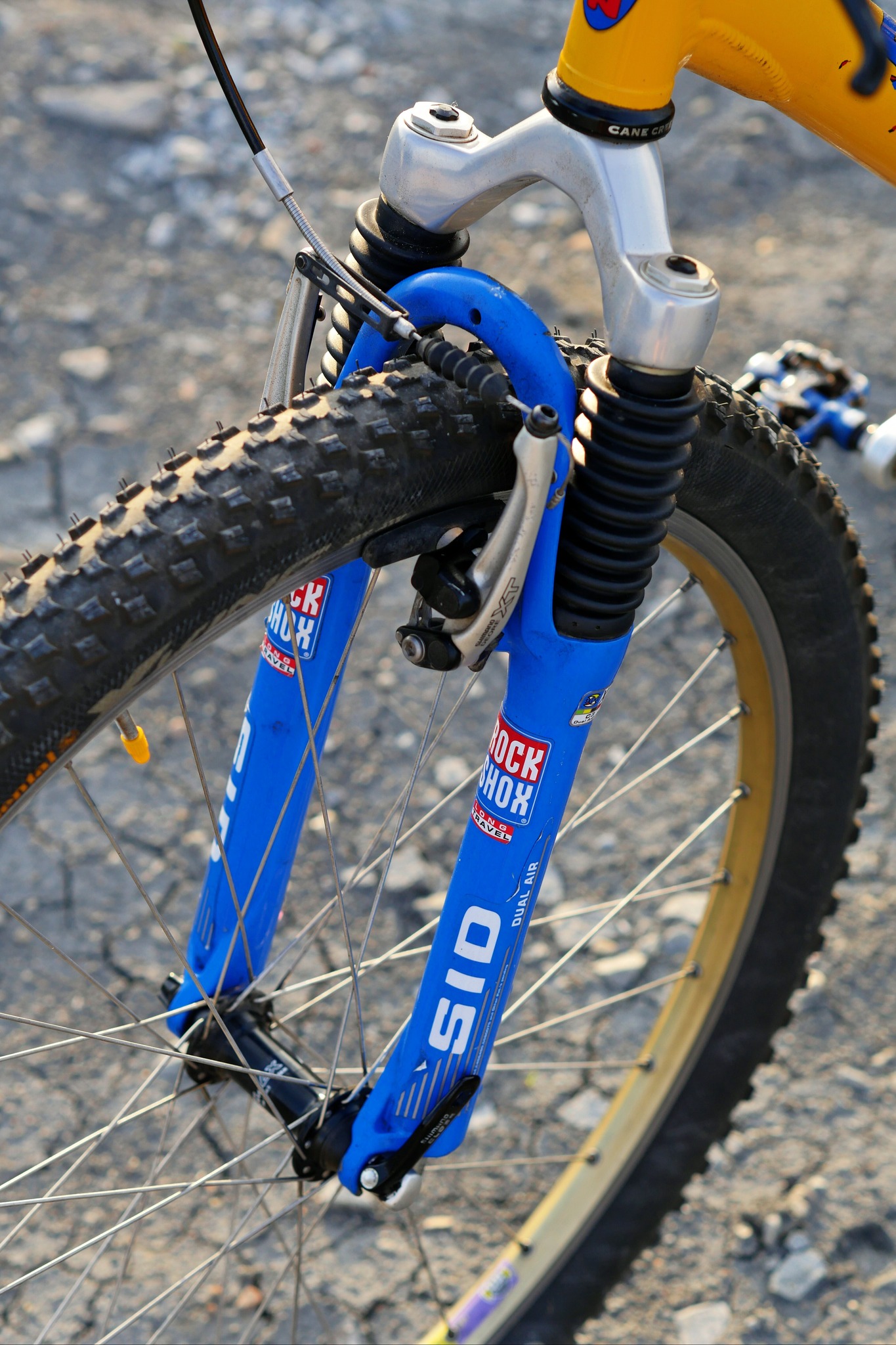 Cult - Did you know that the letters SID are the initials for 