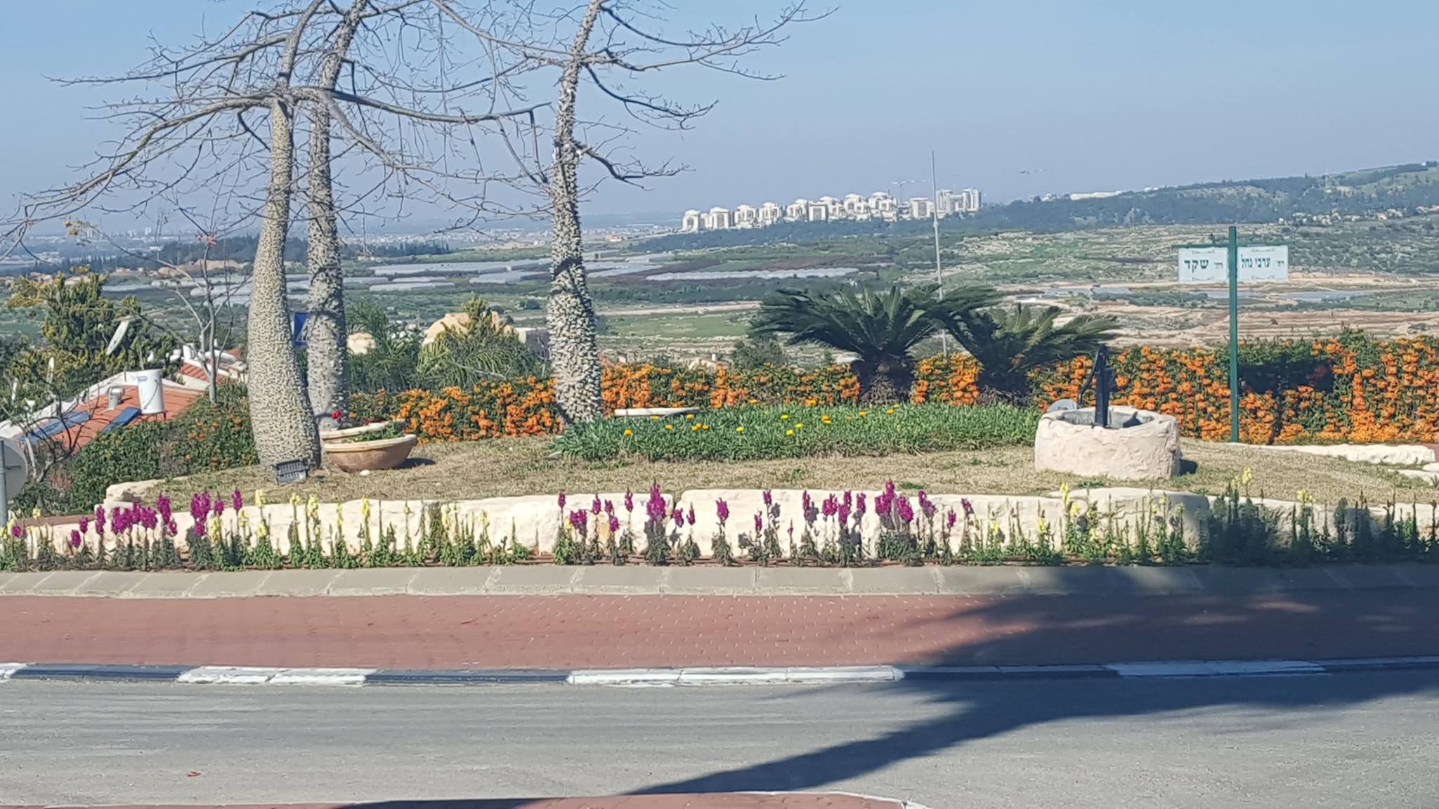 שלום שושנה