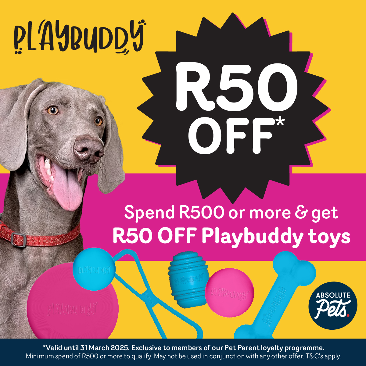Kensington Square | Durban North