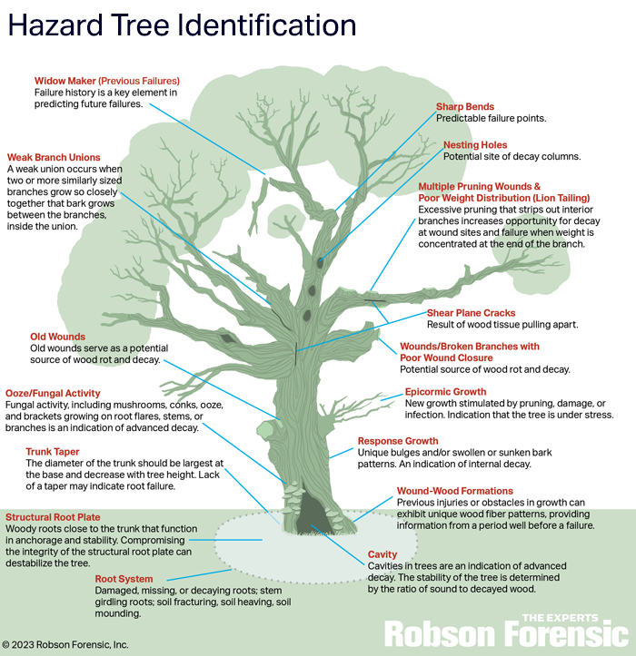 Top Tier Tree Care LLC | Jefferson OR